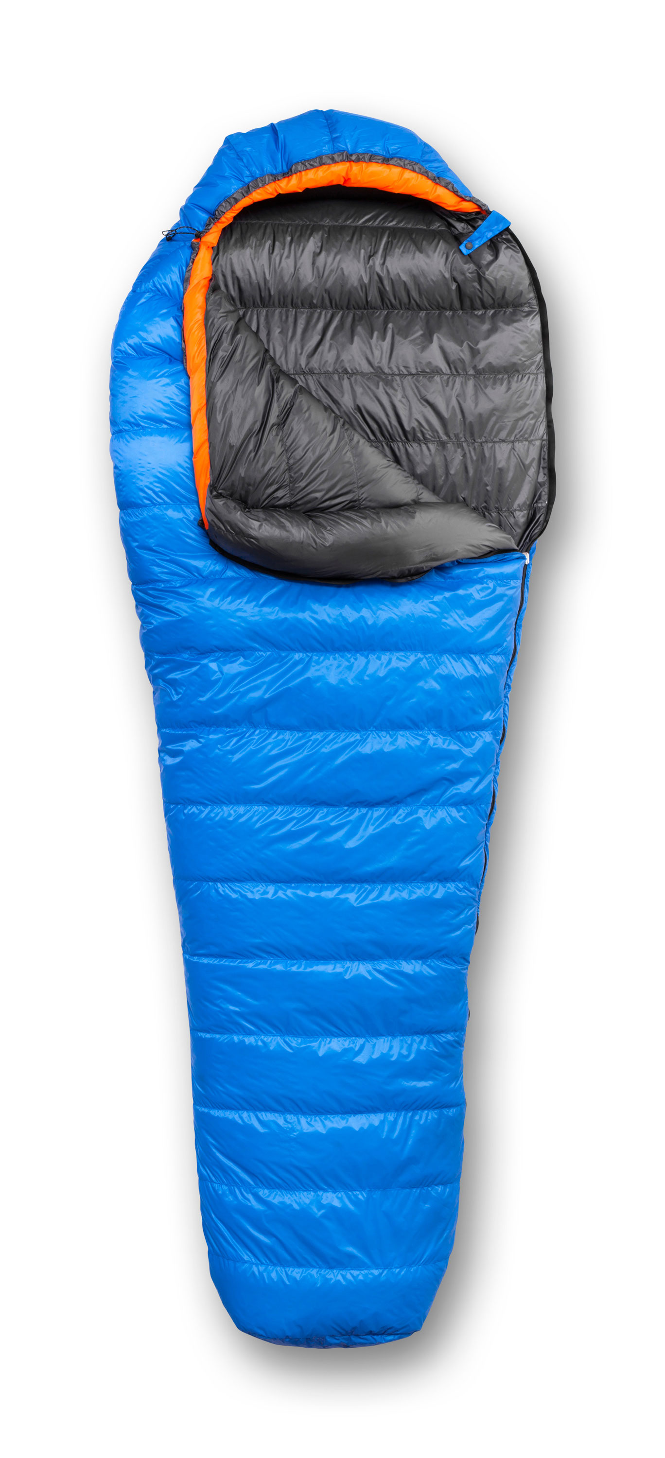 feathered-friends-swallow-nano-20