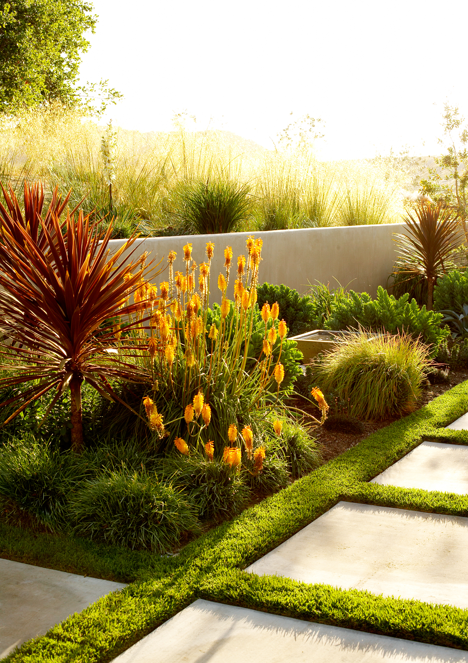 set-your-garden-aglow