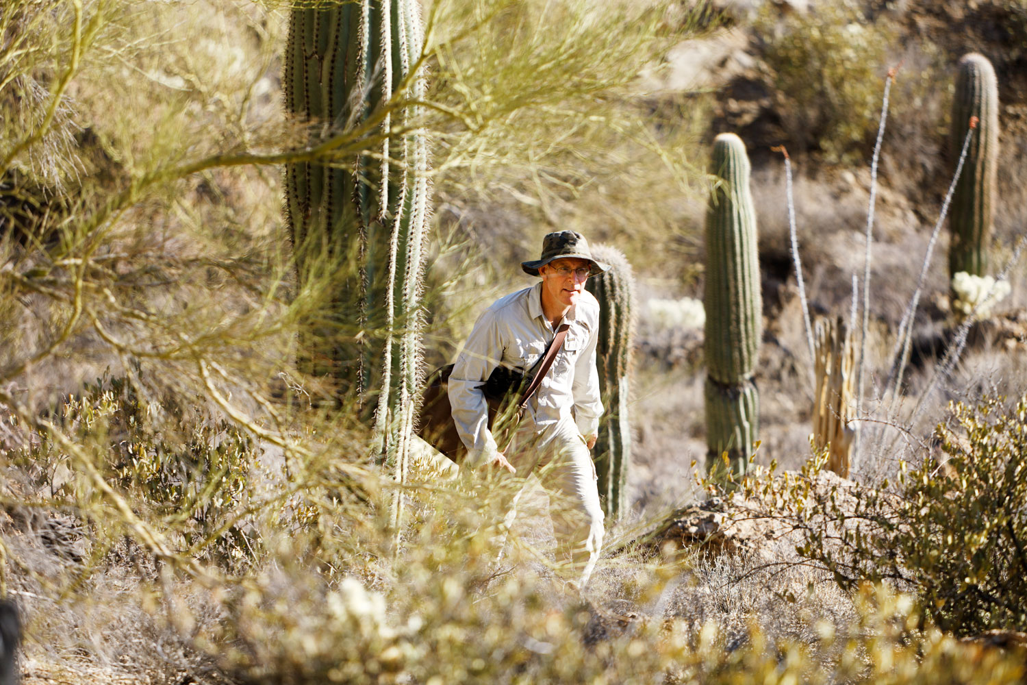 greg-starr-succulent-sleuth