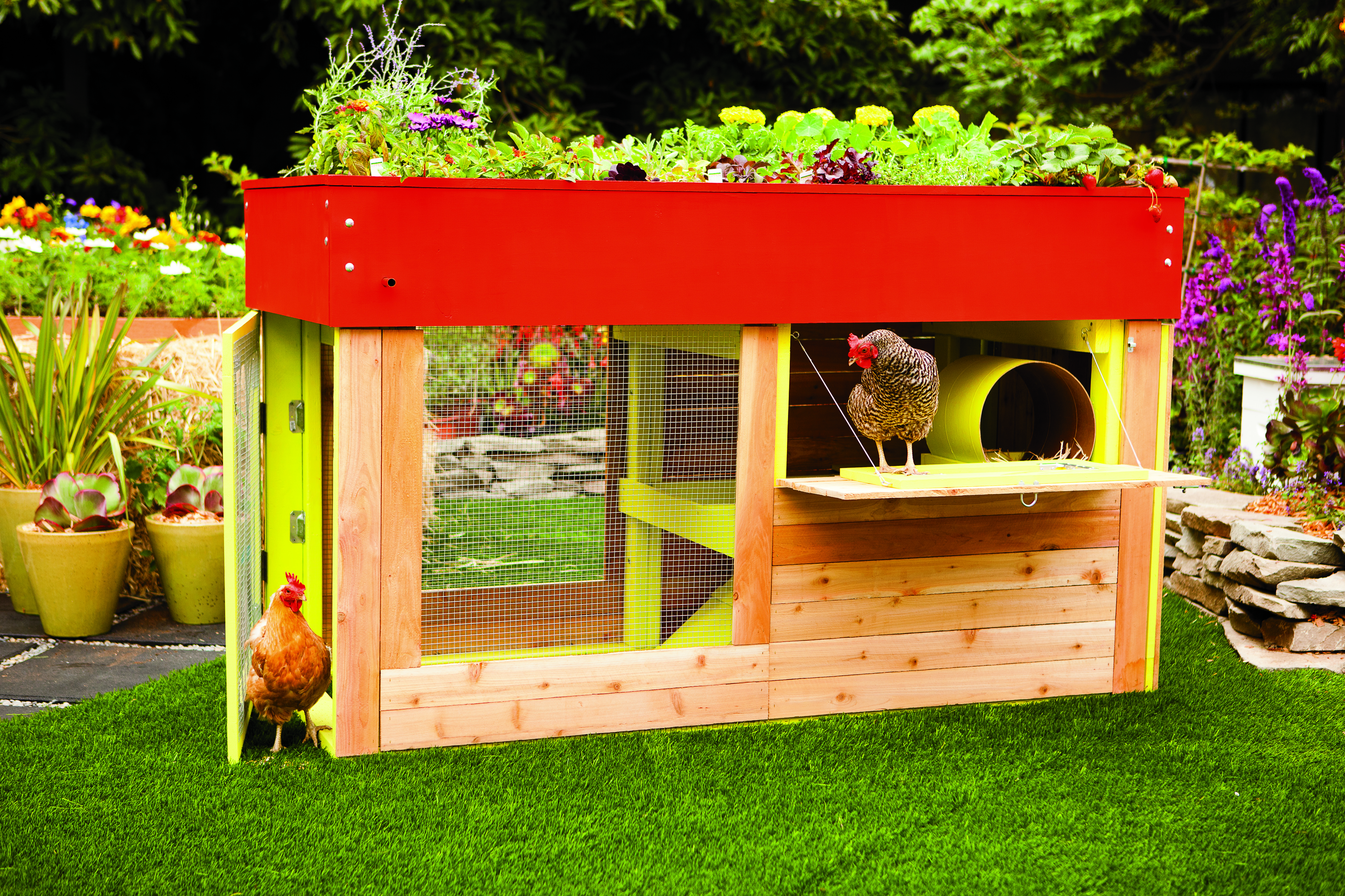 kippen-house-garden-roof-chicken-coop