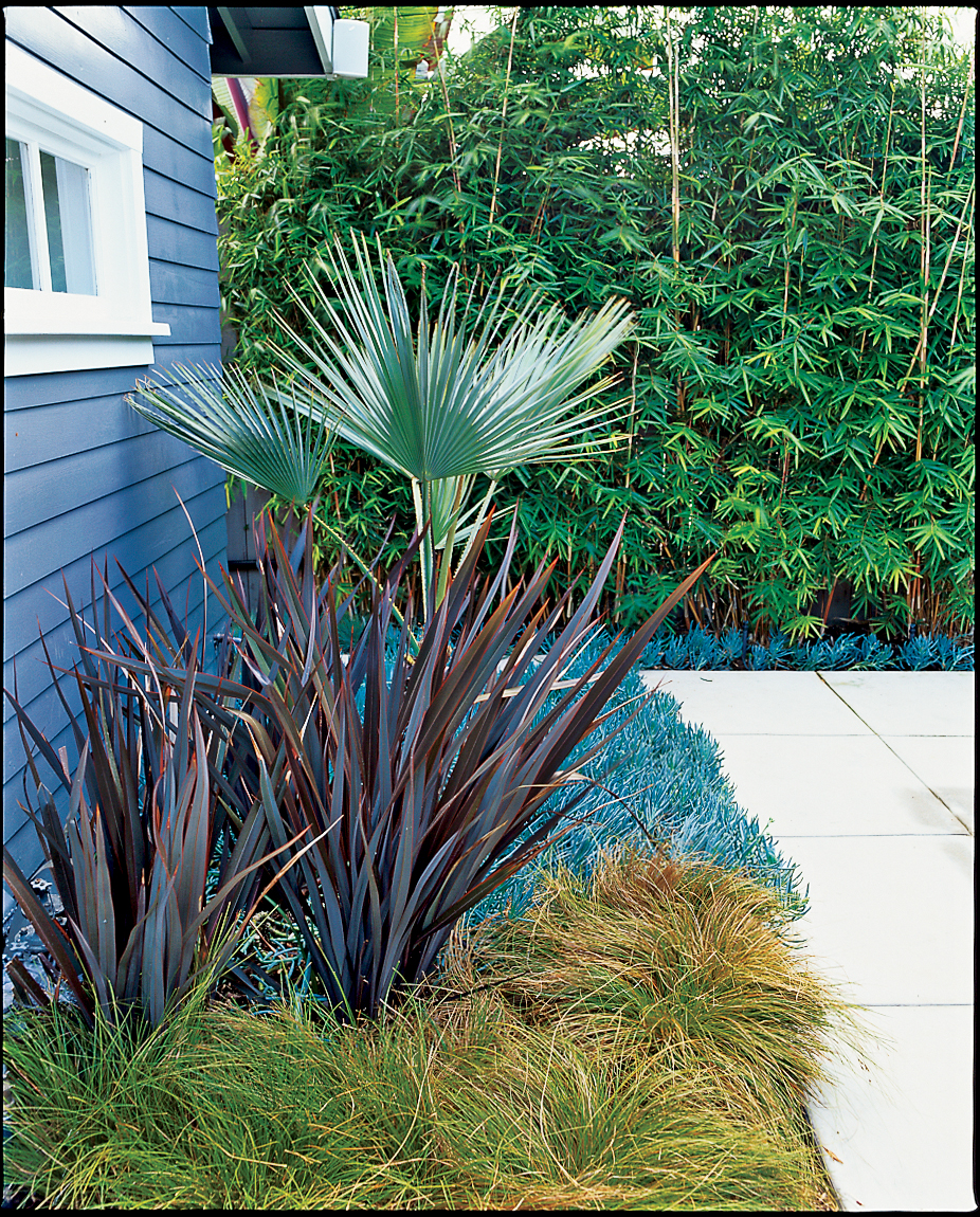 choose-bold-plants-but-limit-their-numbers