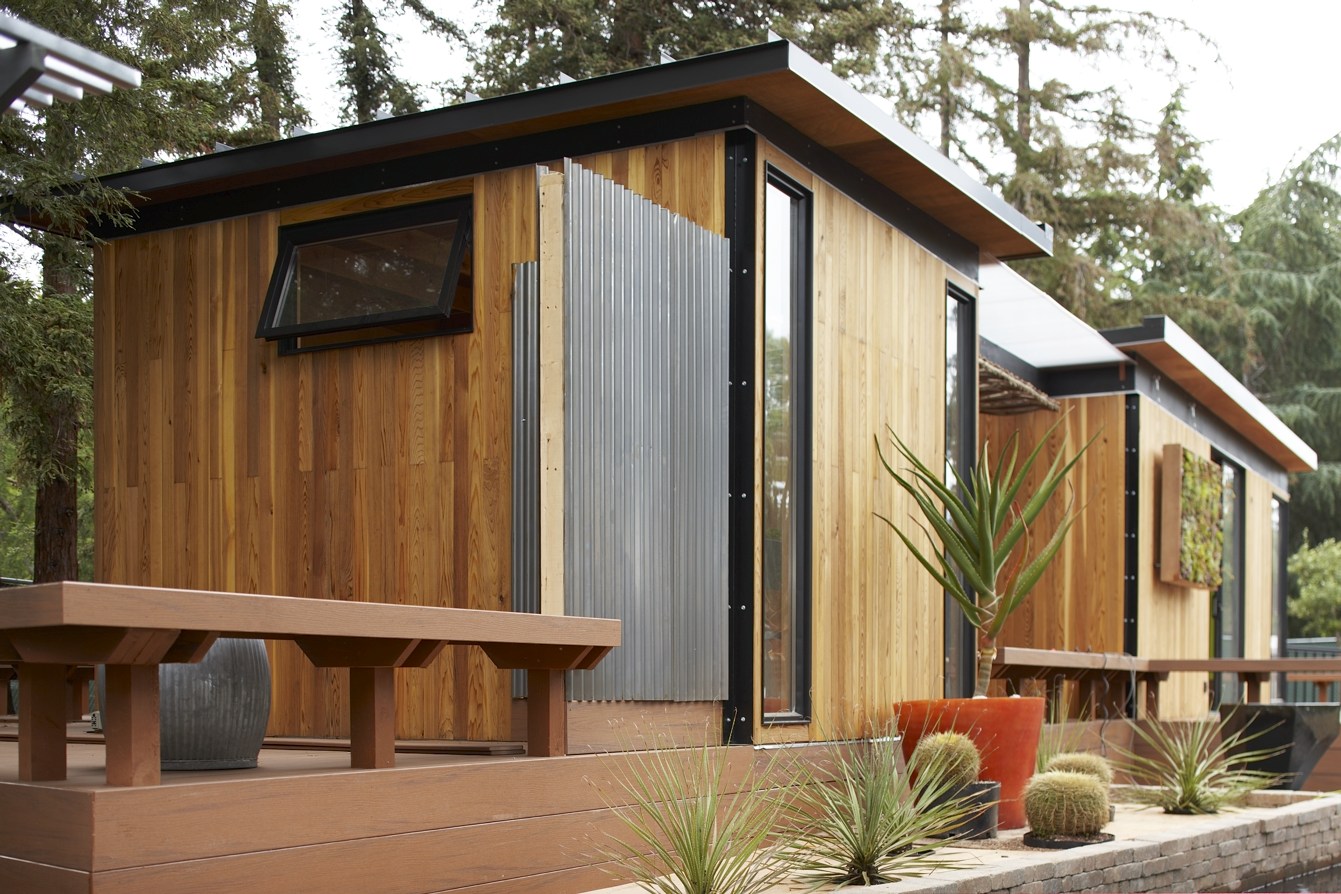 sculptural-plantings