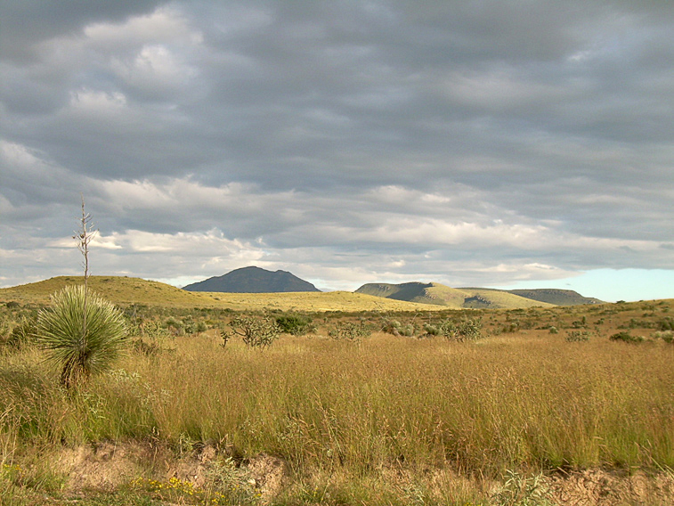 otero-mesa-new-mexico