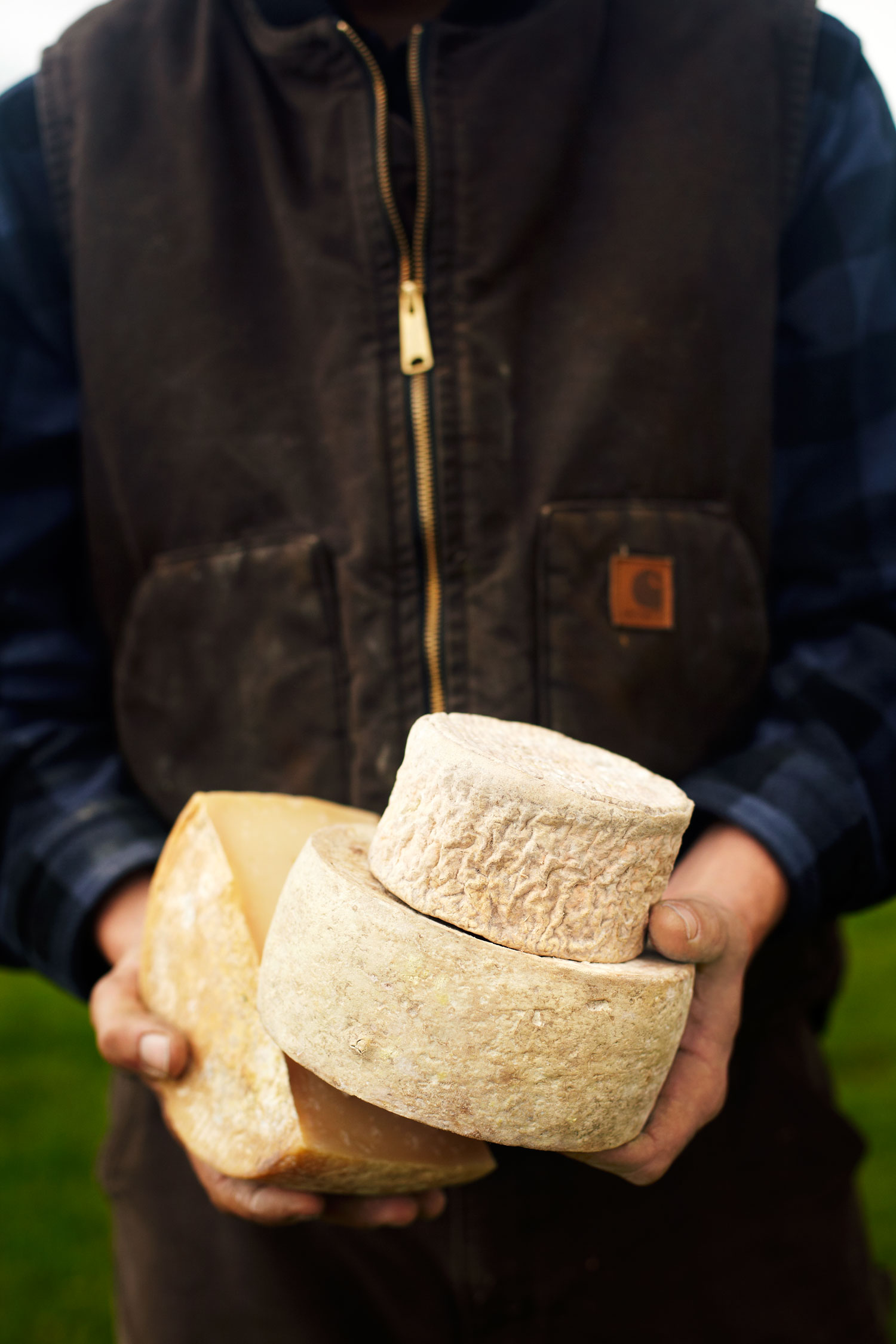 tour-cheesemakers-in-marin-and-sonoma