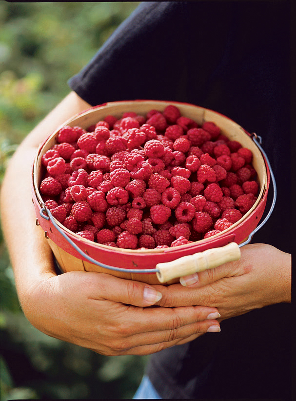 snack-on-or-slurp-the-worlds-finest-raspberries