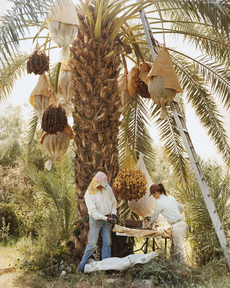 go-for-a-hot-date-in-indio-california