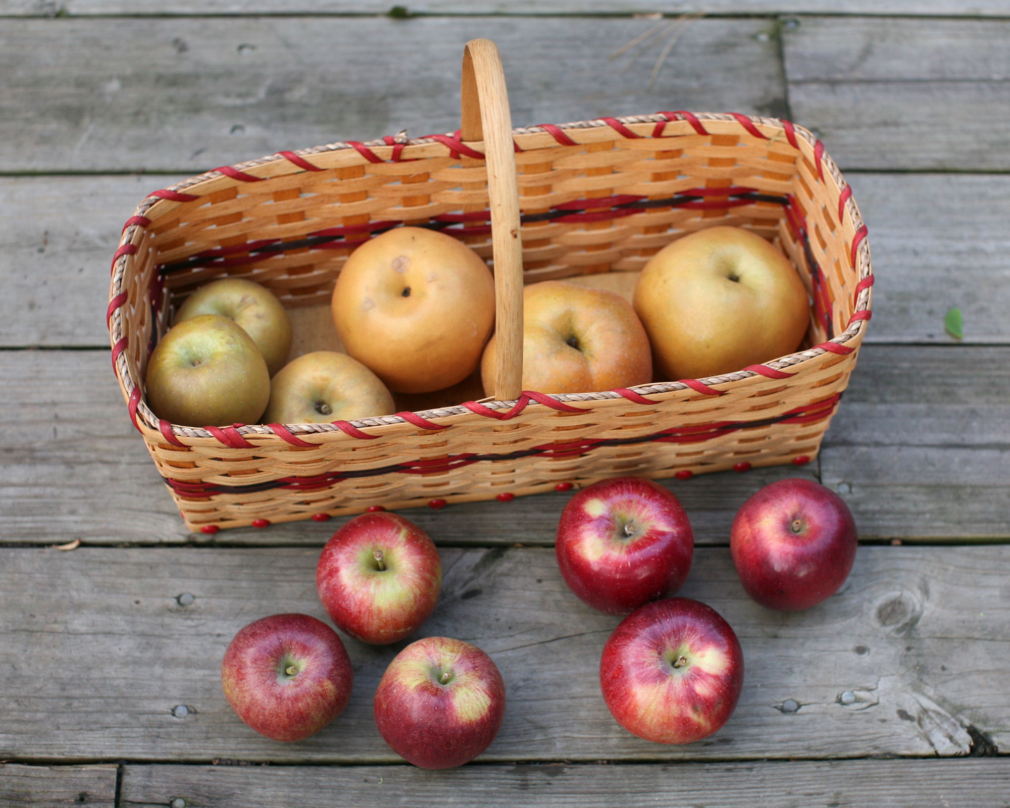 sip-hard-cider-in-wenatchee-valley