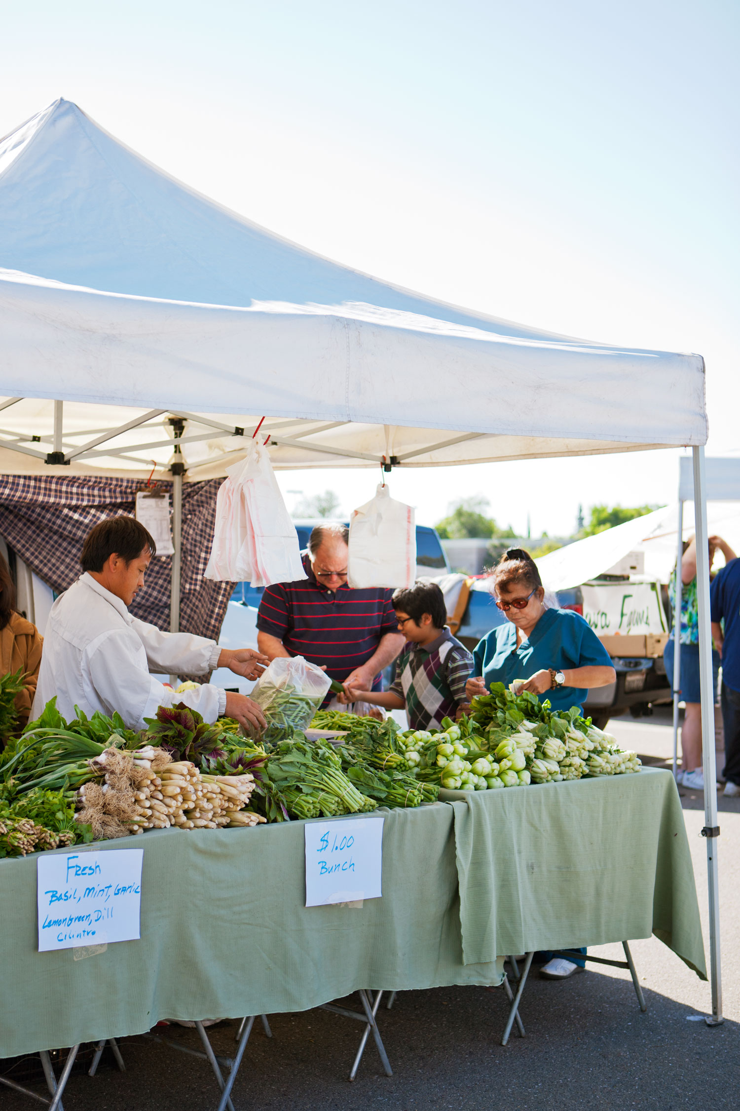 soak-up-the-scene-at-a-stellar-farmers-market