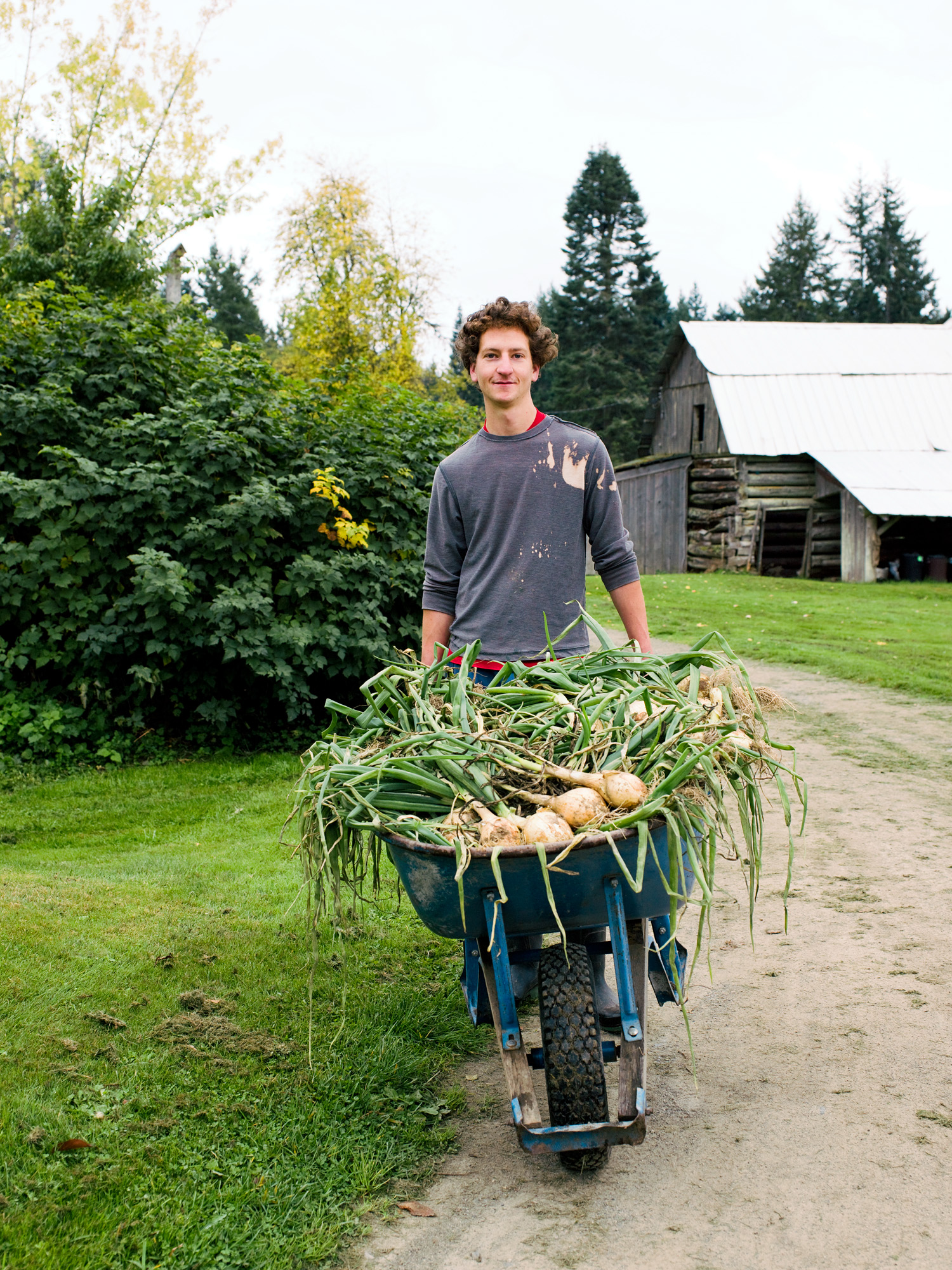 harvest-and-cook-on-a-farm