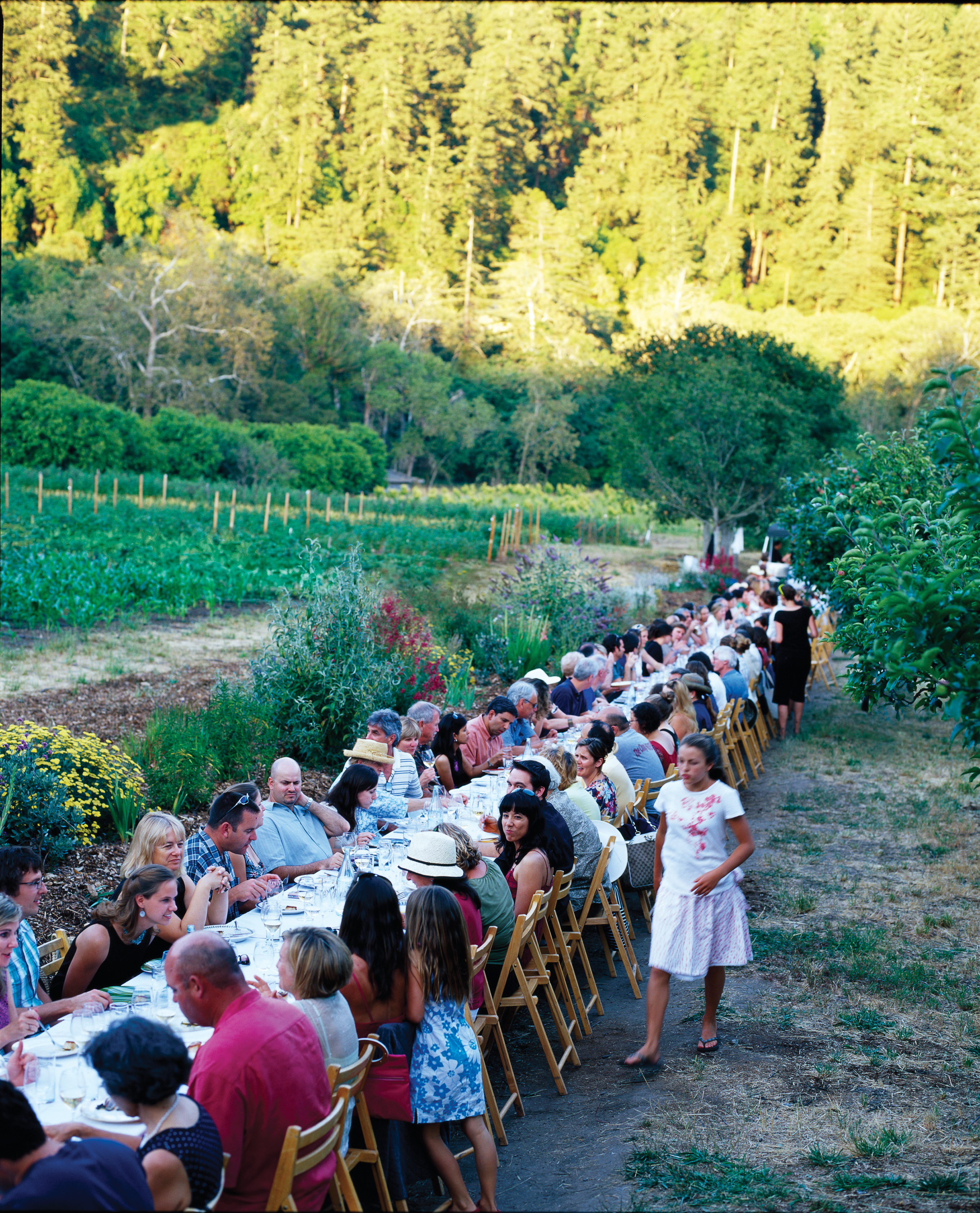 have-dinner-on-a-farm