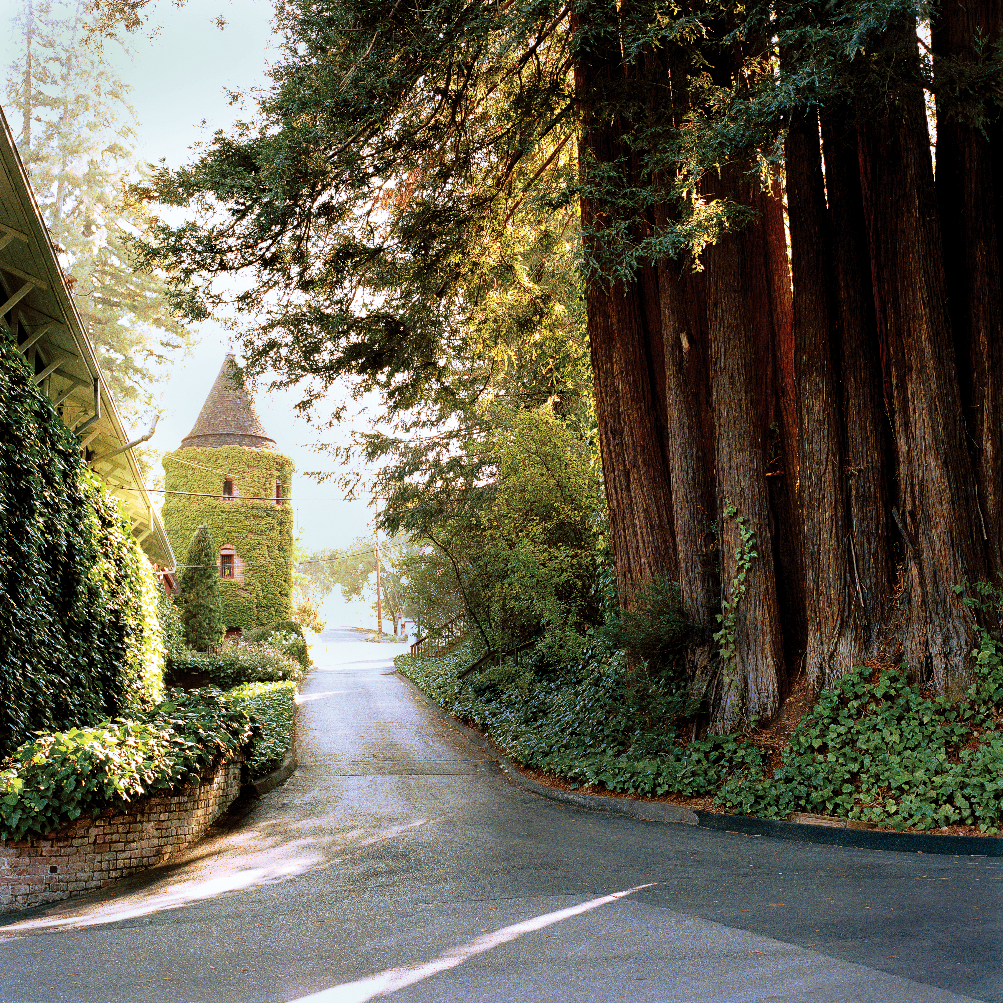 loveliest-settinga-three-way-tie