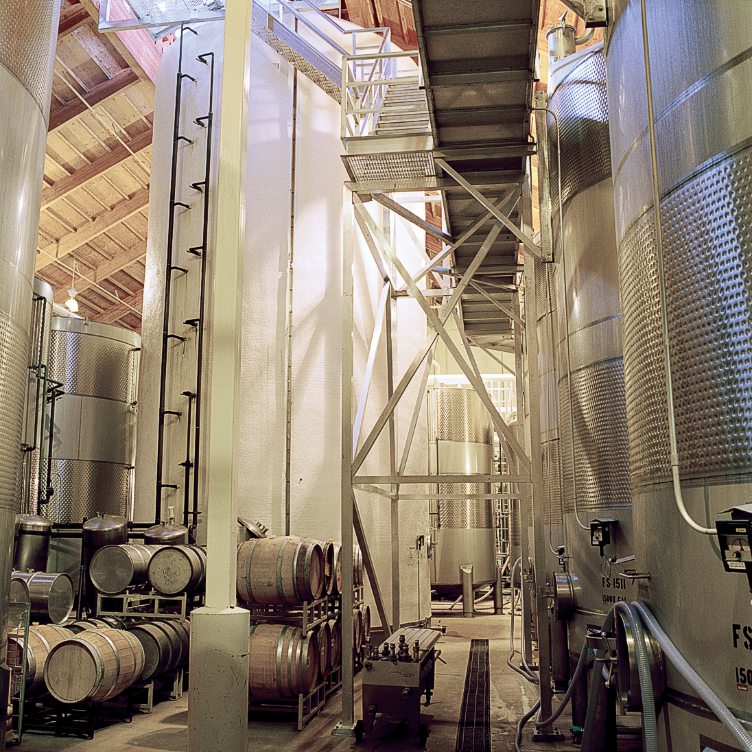 most-knowledgeable-guide-david-munksgard-of-iron-horse