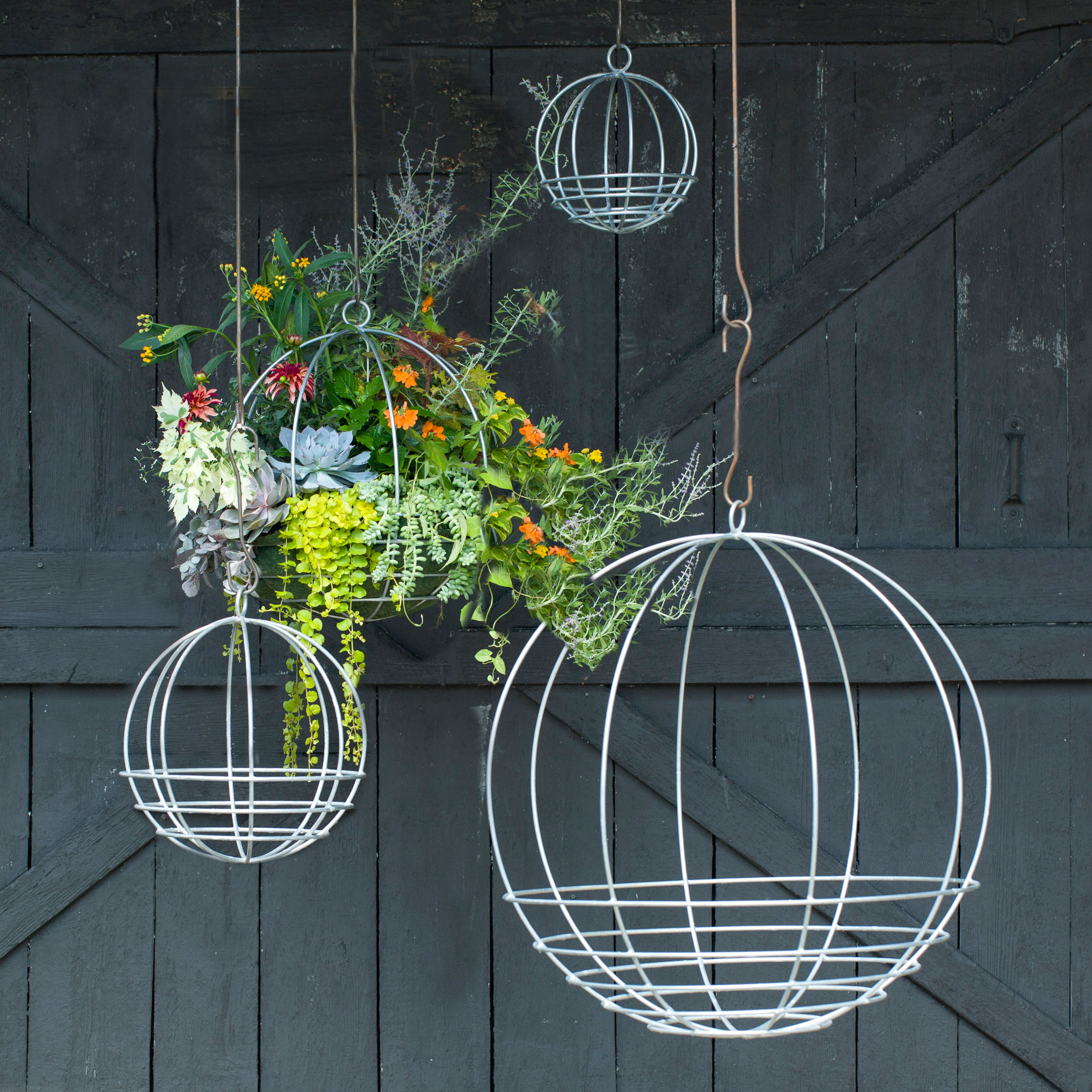 hanging-around-the-yard