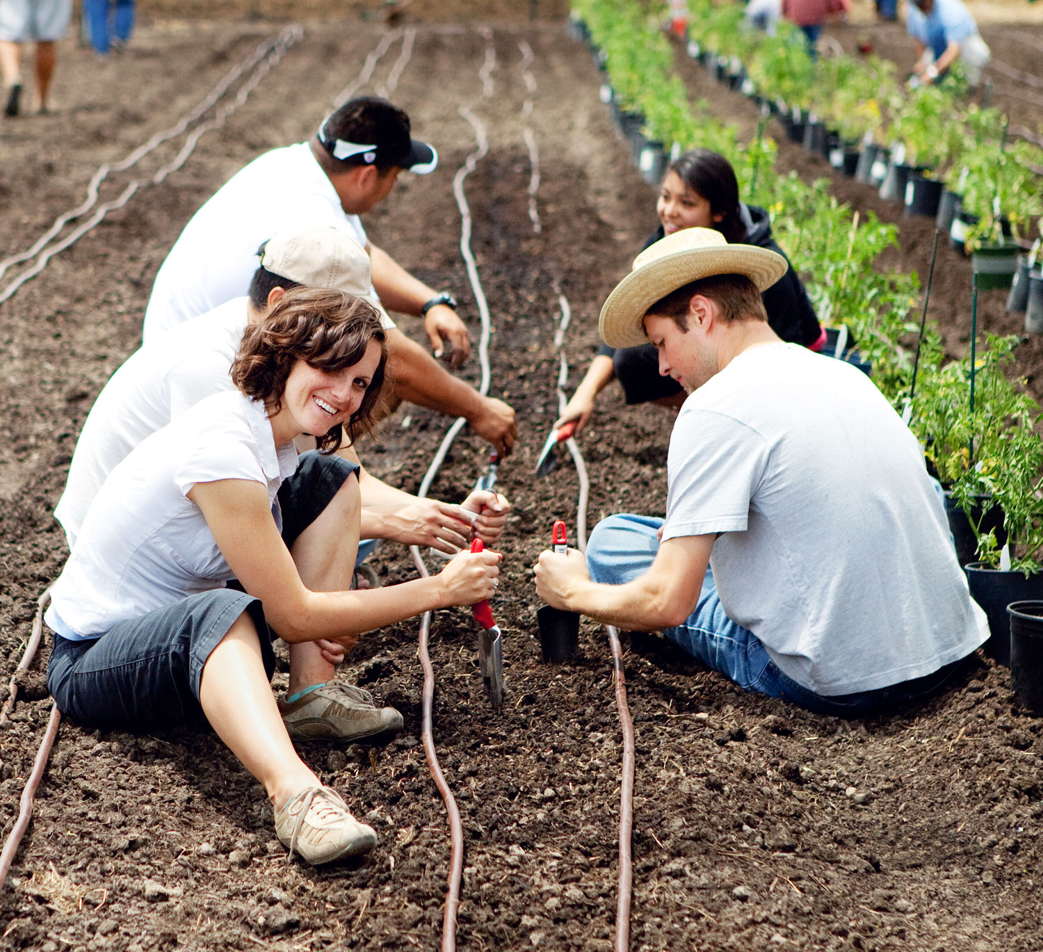 learn-how-to-grow-food-at-urban-farms