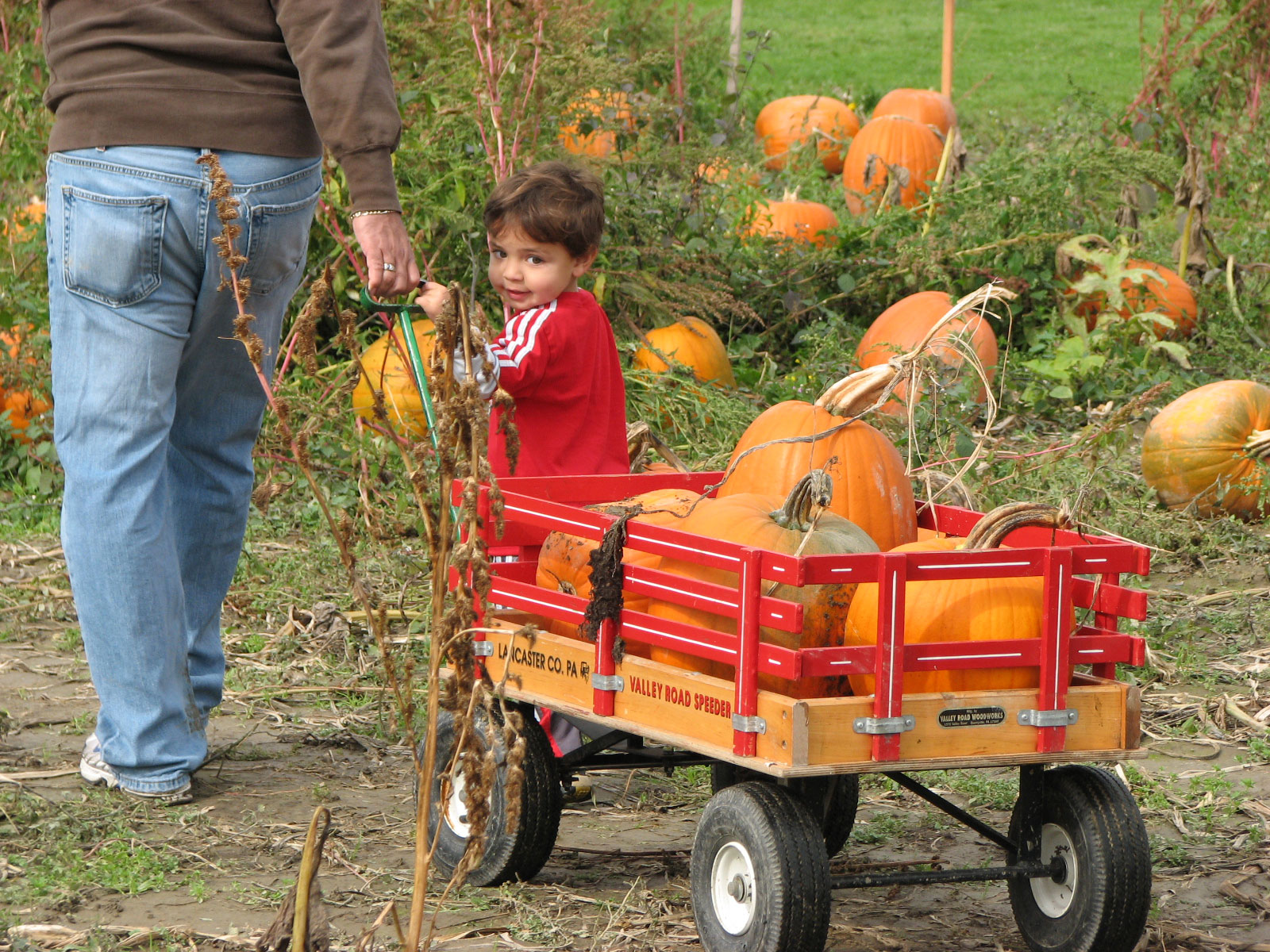 14 Fall-Tastic Pumpkin Patches and Corn Mazes in the West