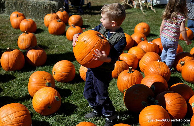 cornucopia-fall-festival