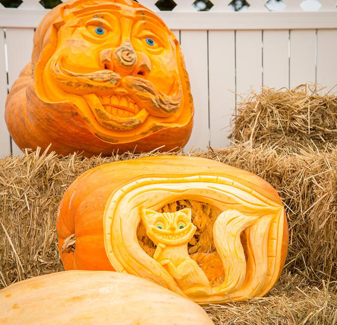 half-moon-bay-pumpkin-festival