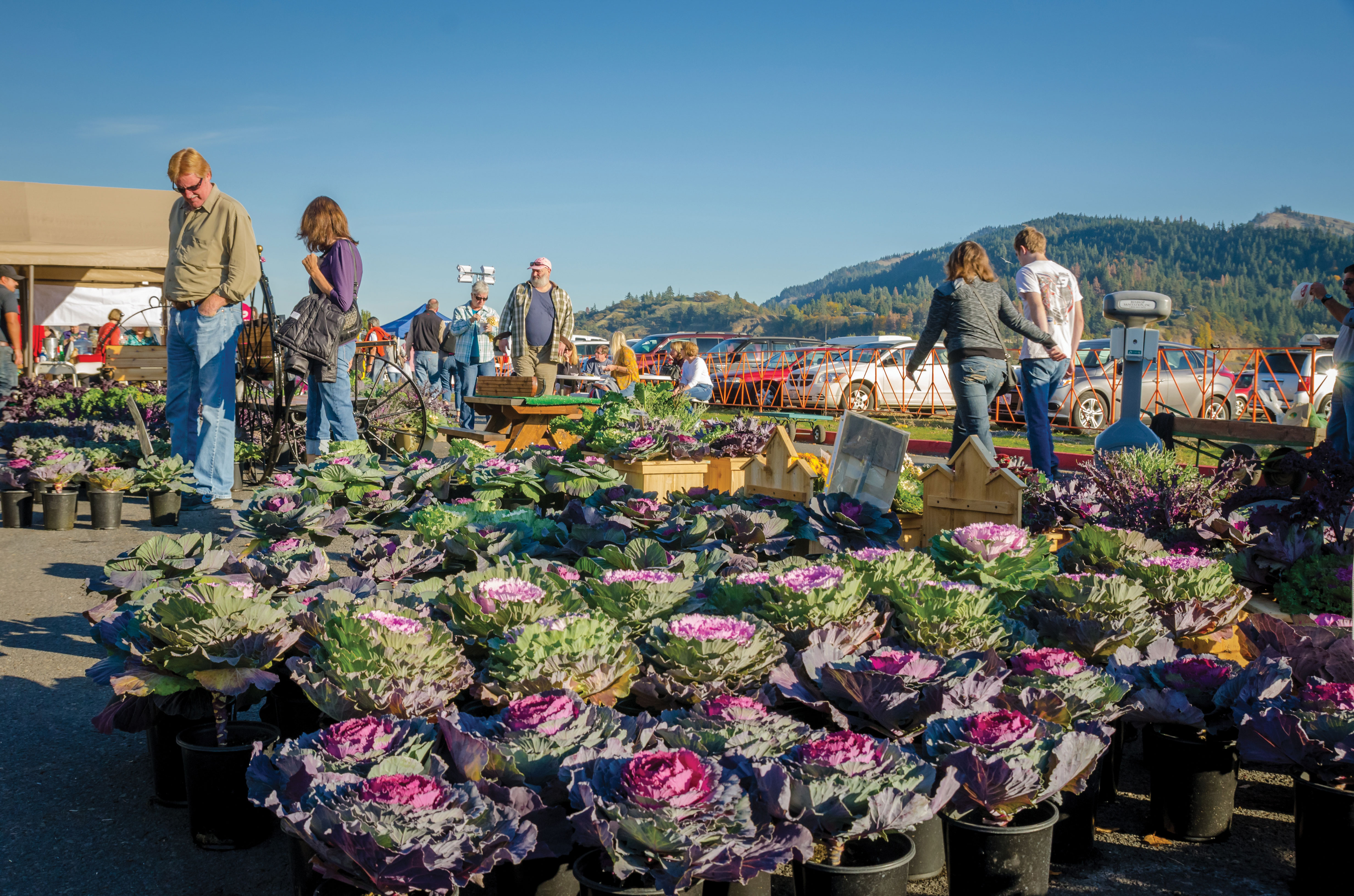 hood-river-valley-harvest-festival