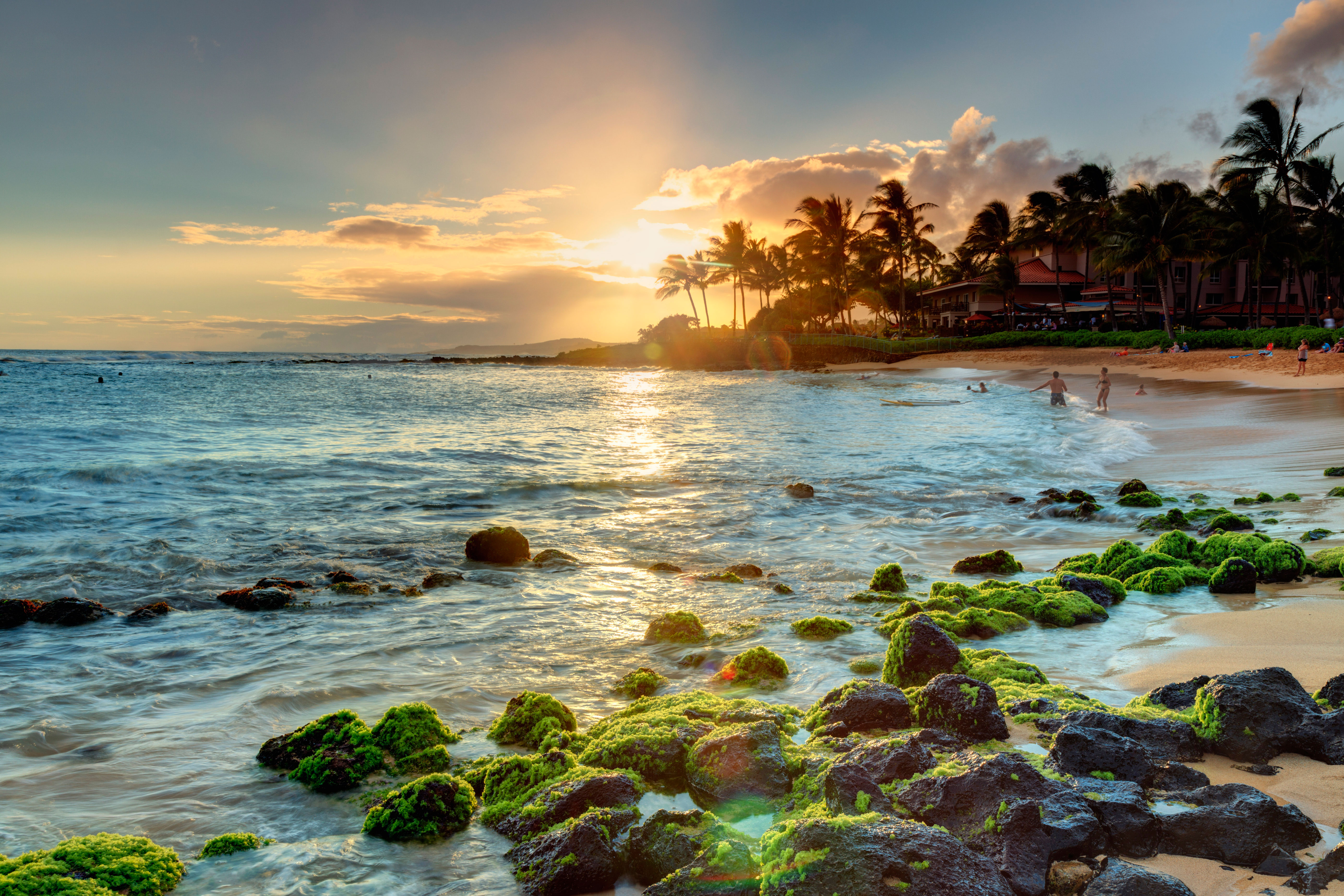 Surf Camps That'll Teach You to Shred Like a Pro