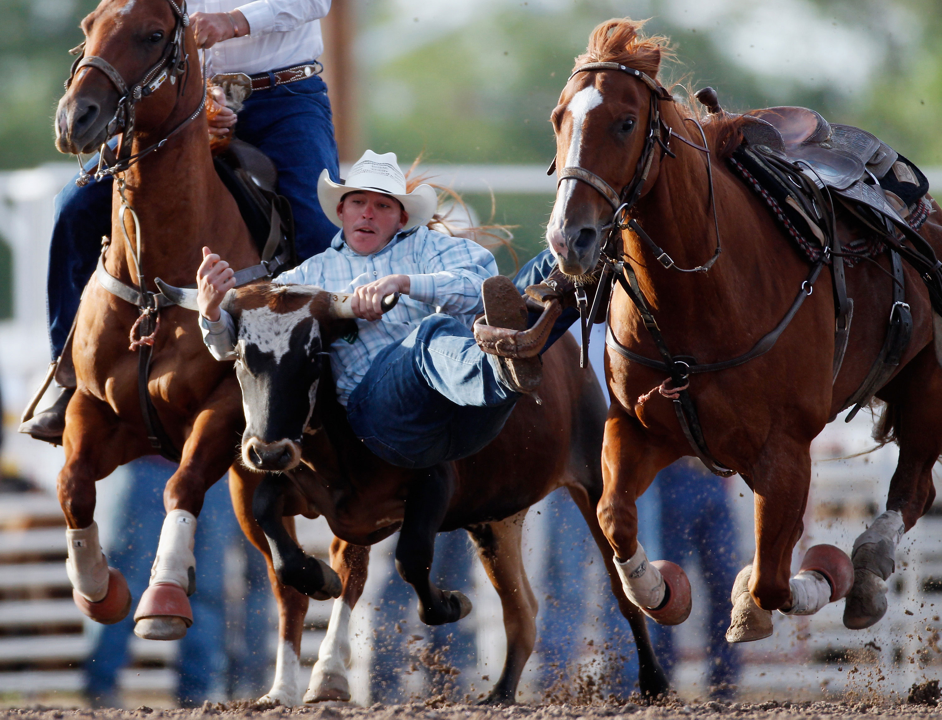 Best Rodeos to See This Summer