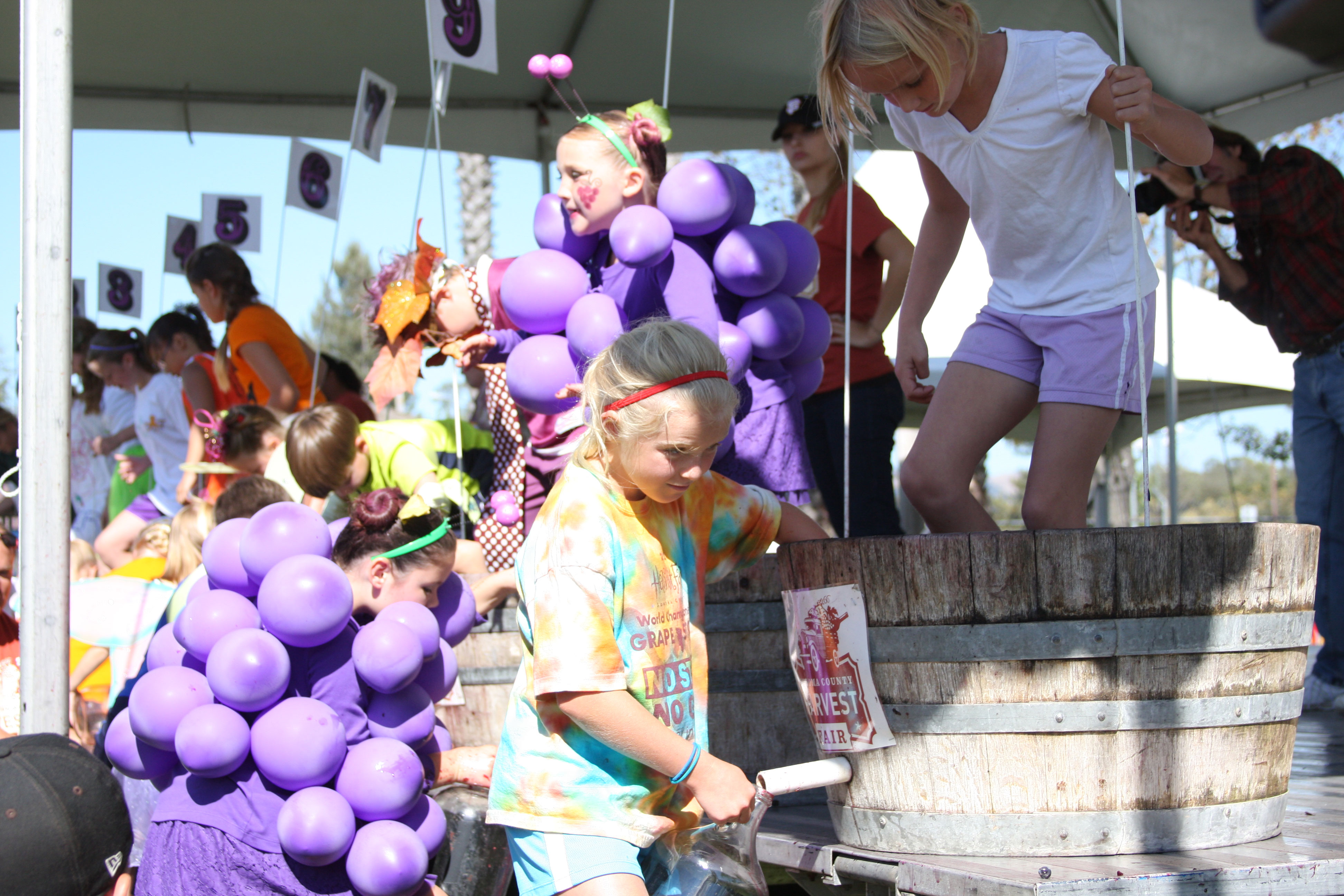 sonoma-county-harvest-fair