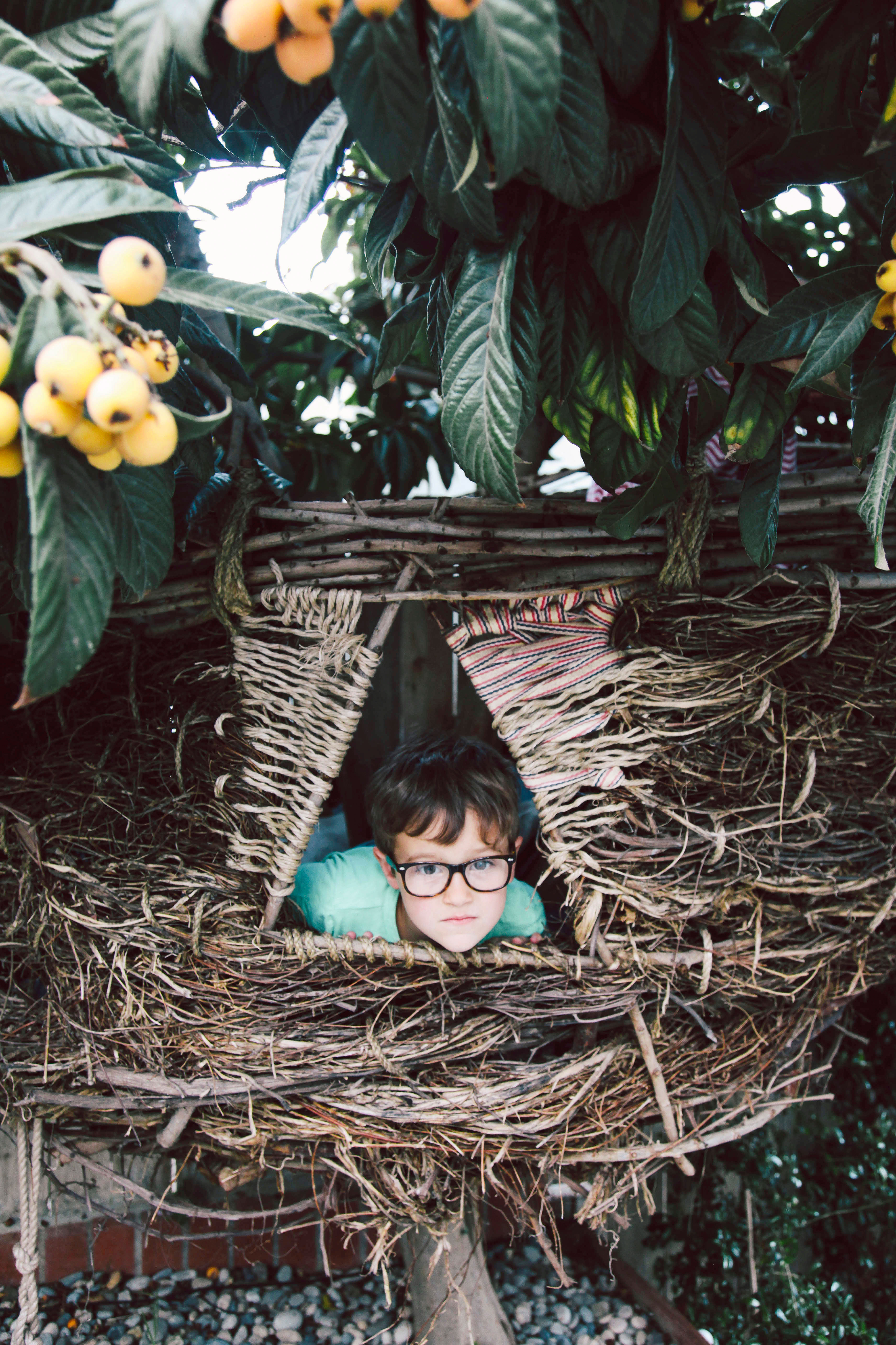 nesting-instinct