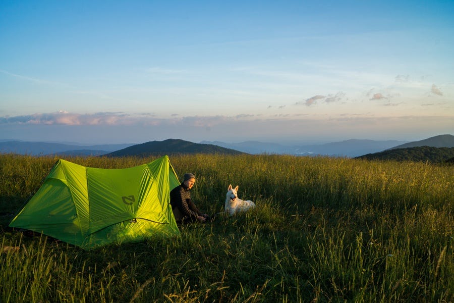 5 Reasons Why Backpacking with Your Dog Is the Best