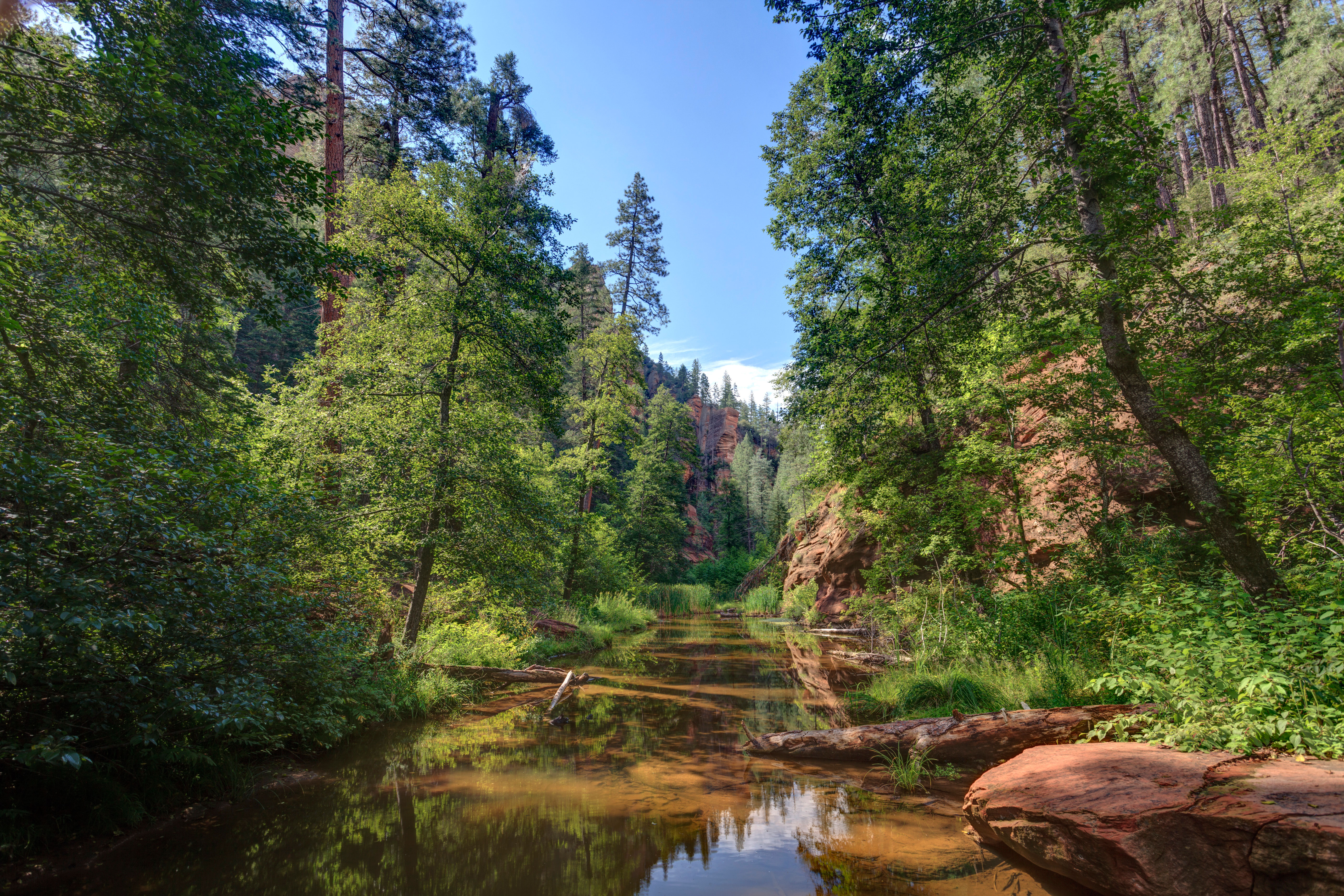 manzanita-campground-sedona-az