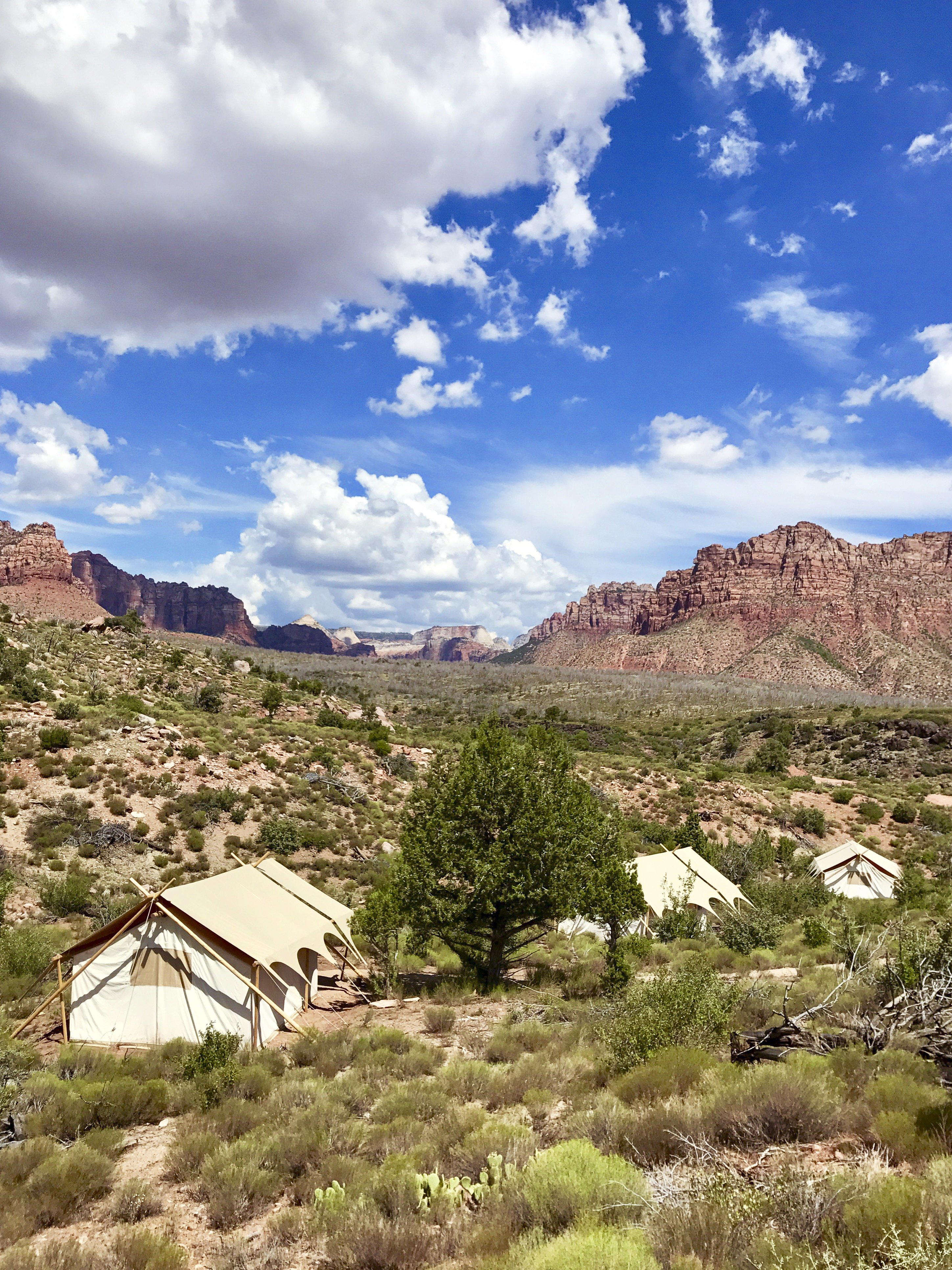 Win an Escape to Zion!