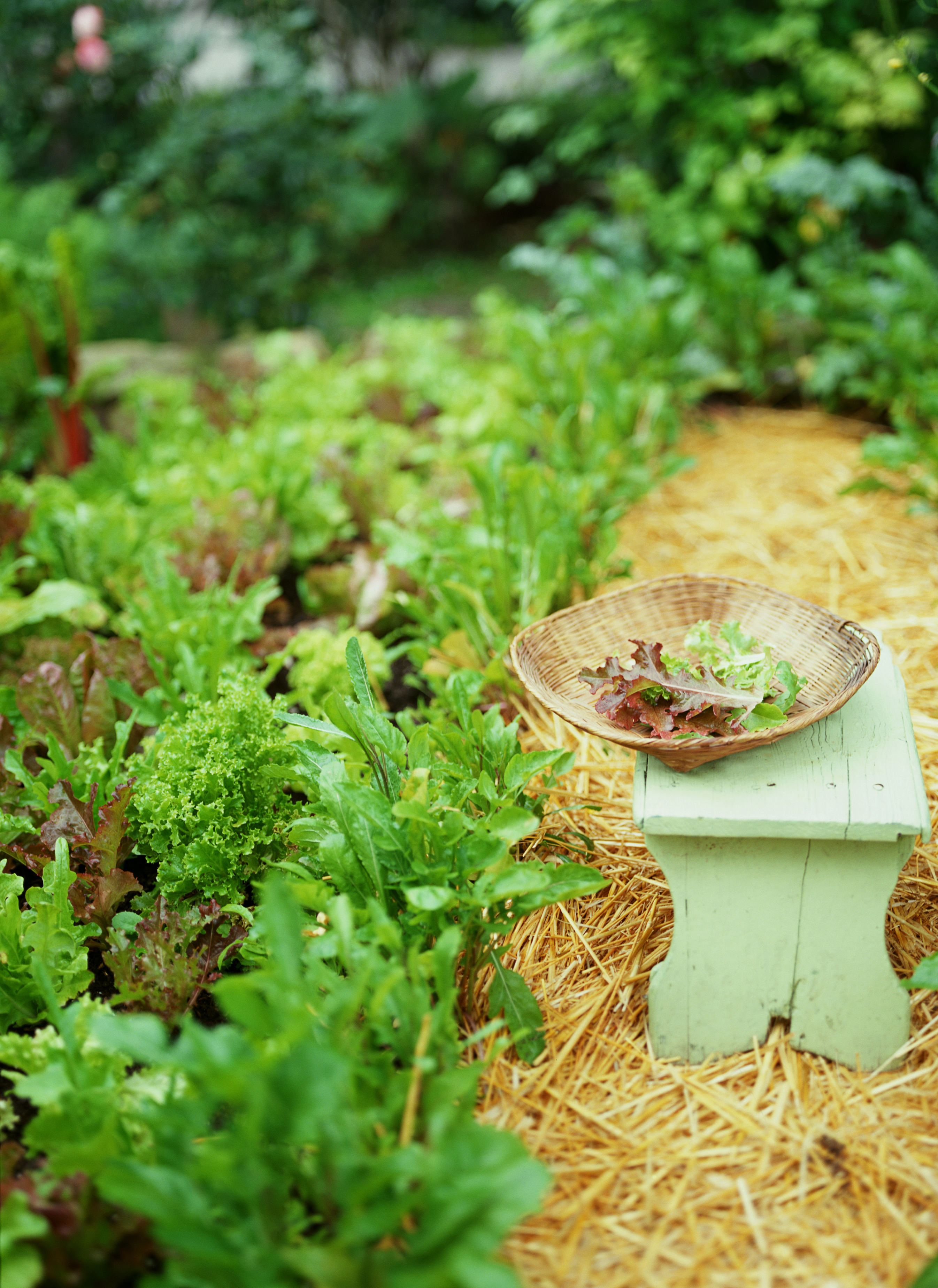 When is it time to pick?