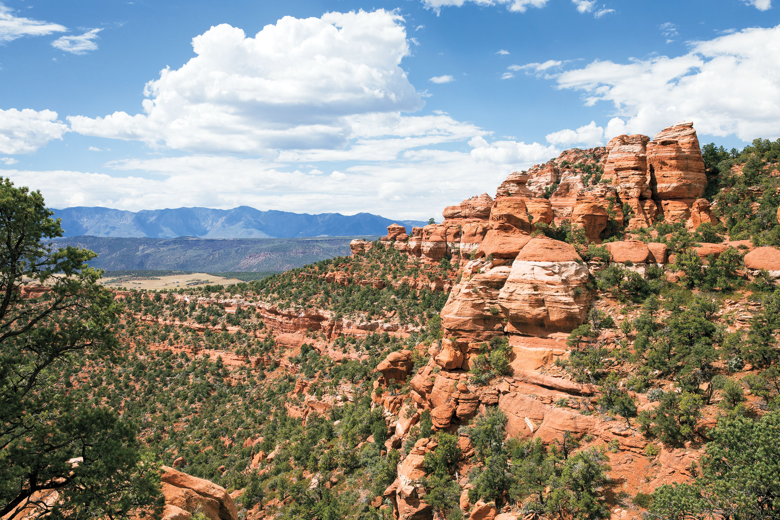 A Slot Canyon Adventure in Zion National Park