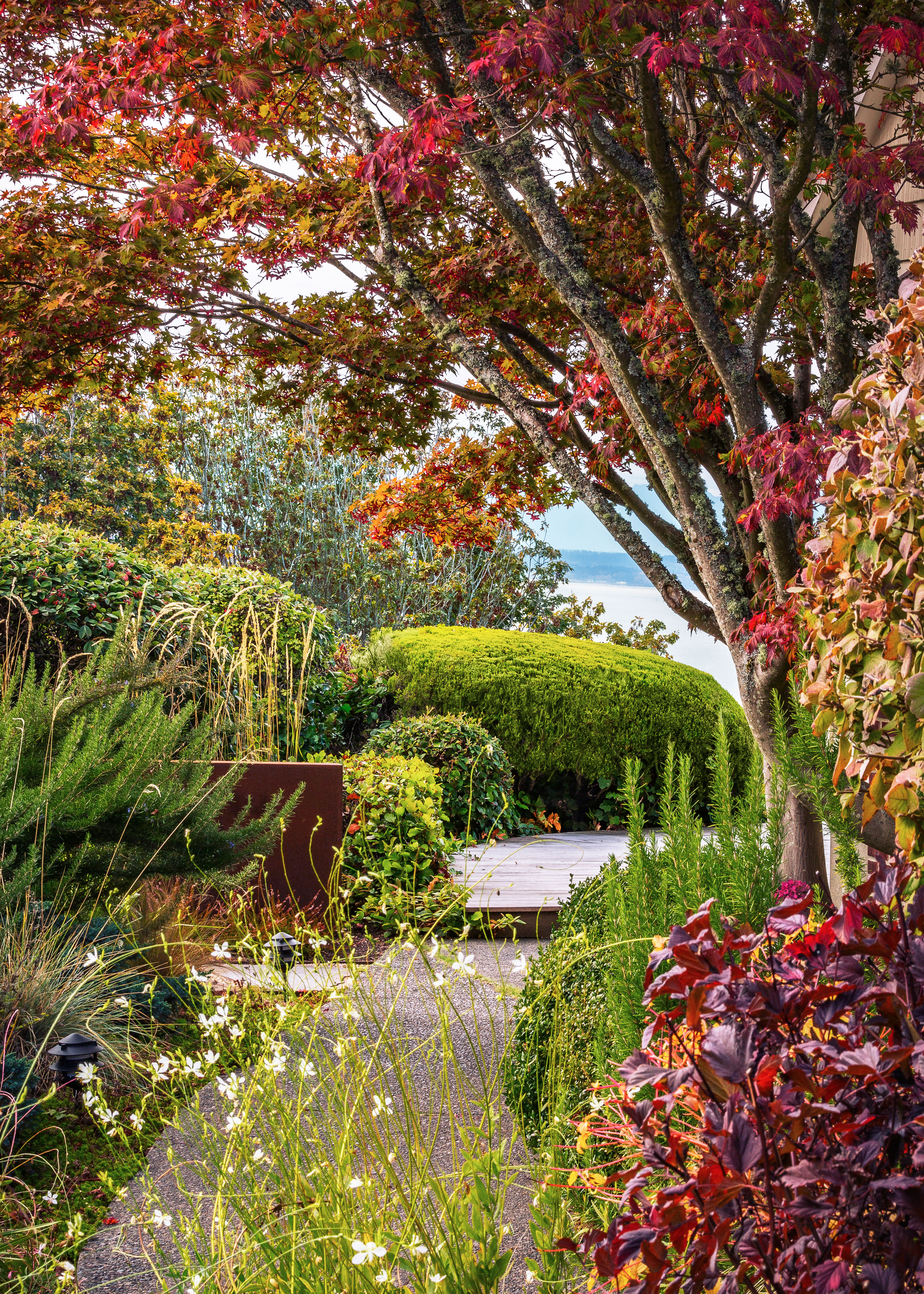 3 Ways to Maximize Fall Color in Your Garden