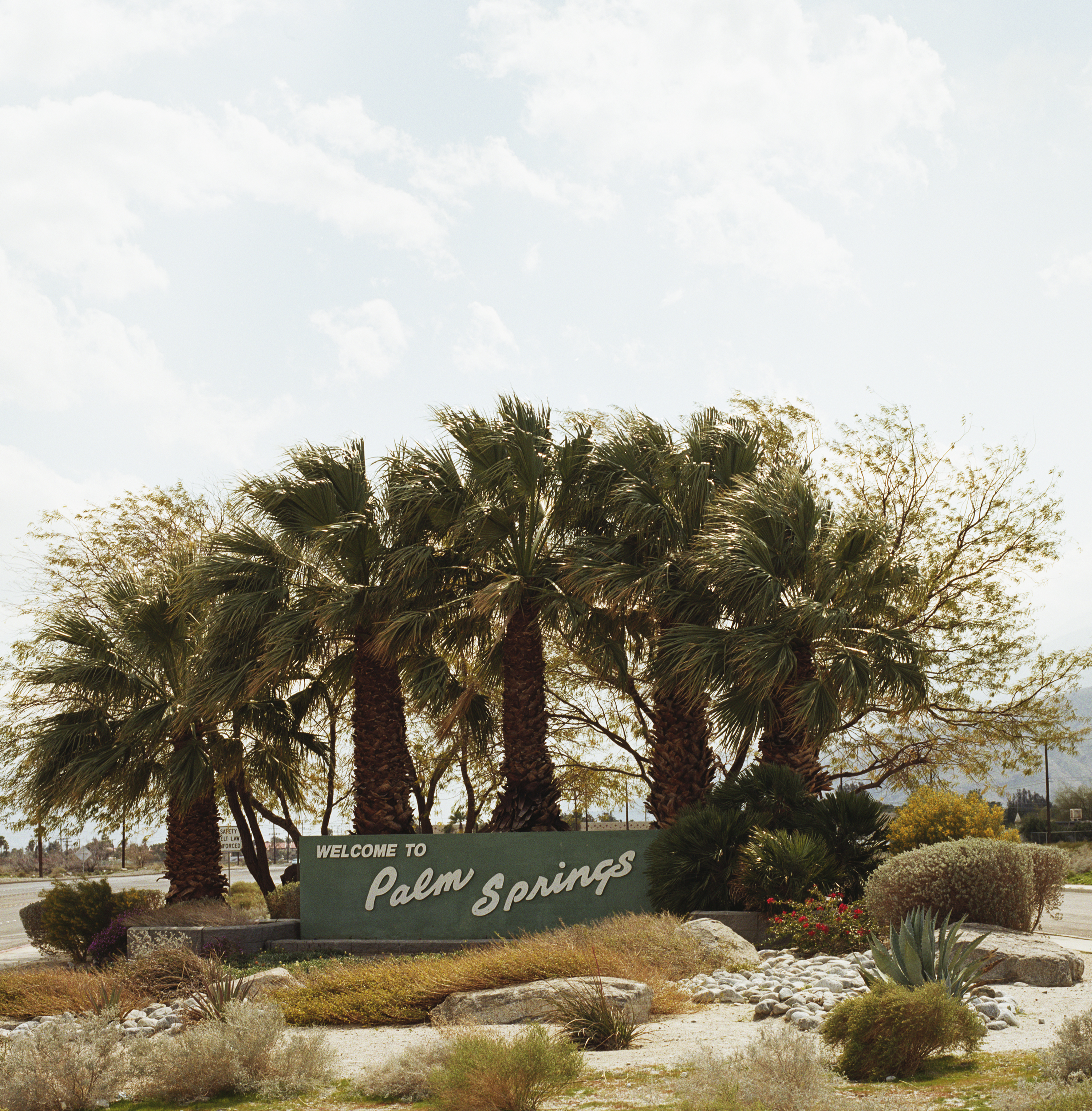 Palm Springs Getaway