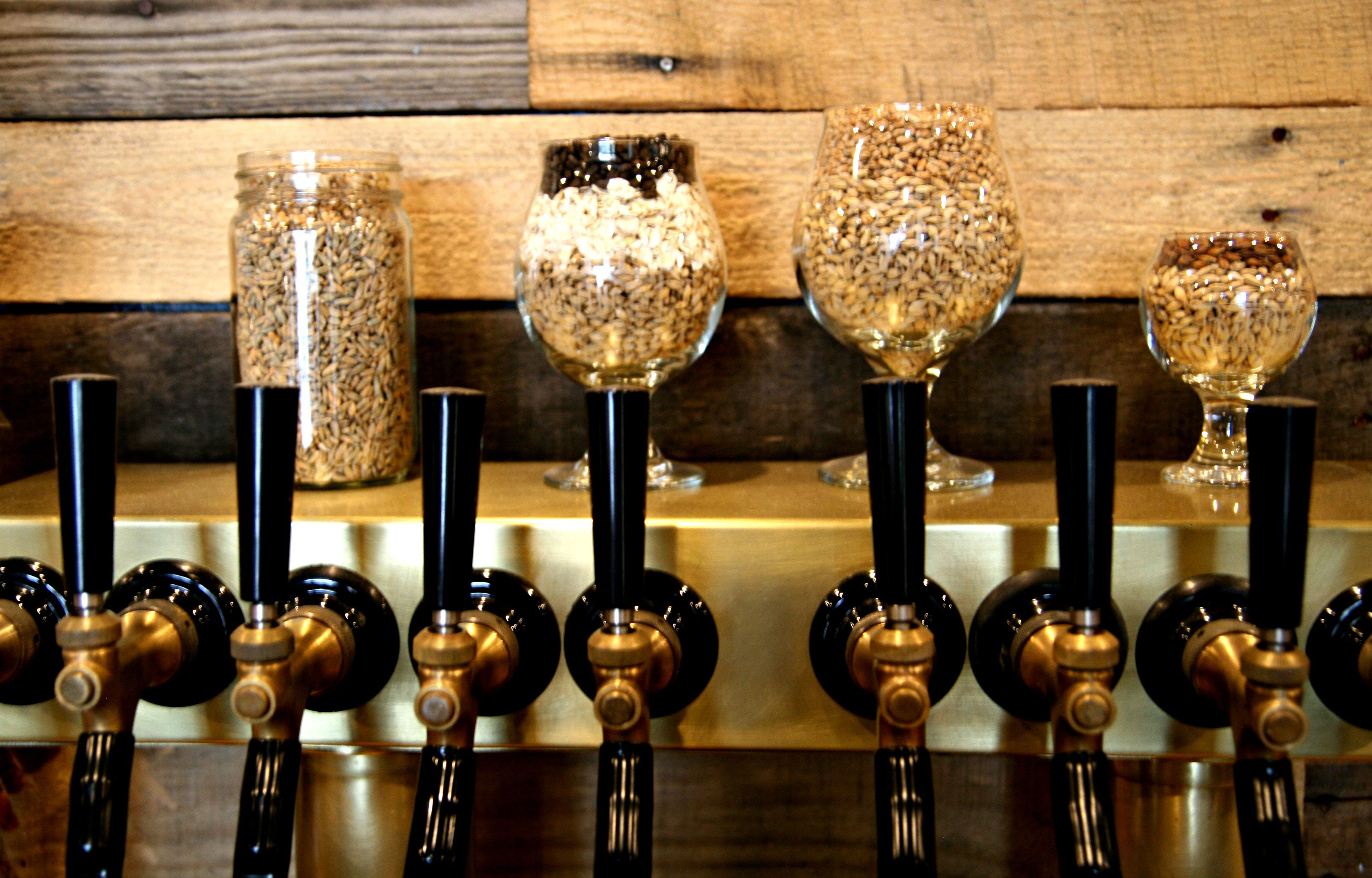 baere-brewing-co-denver-co