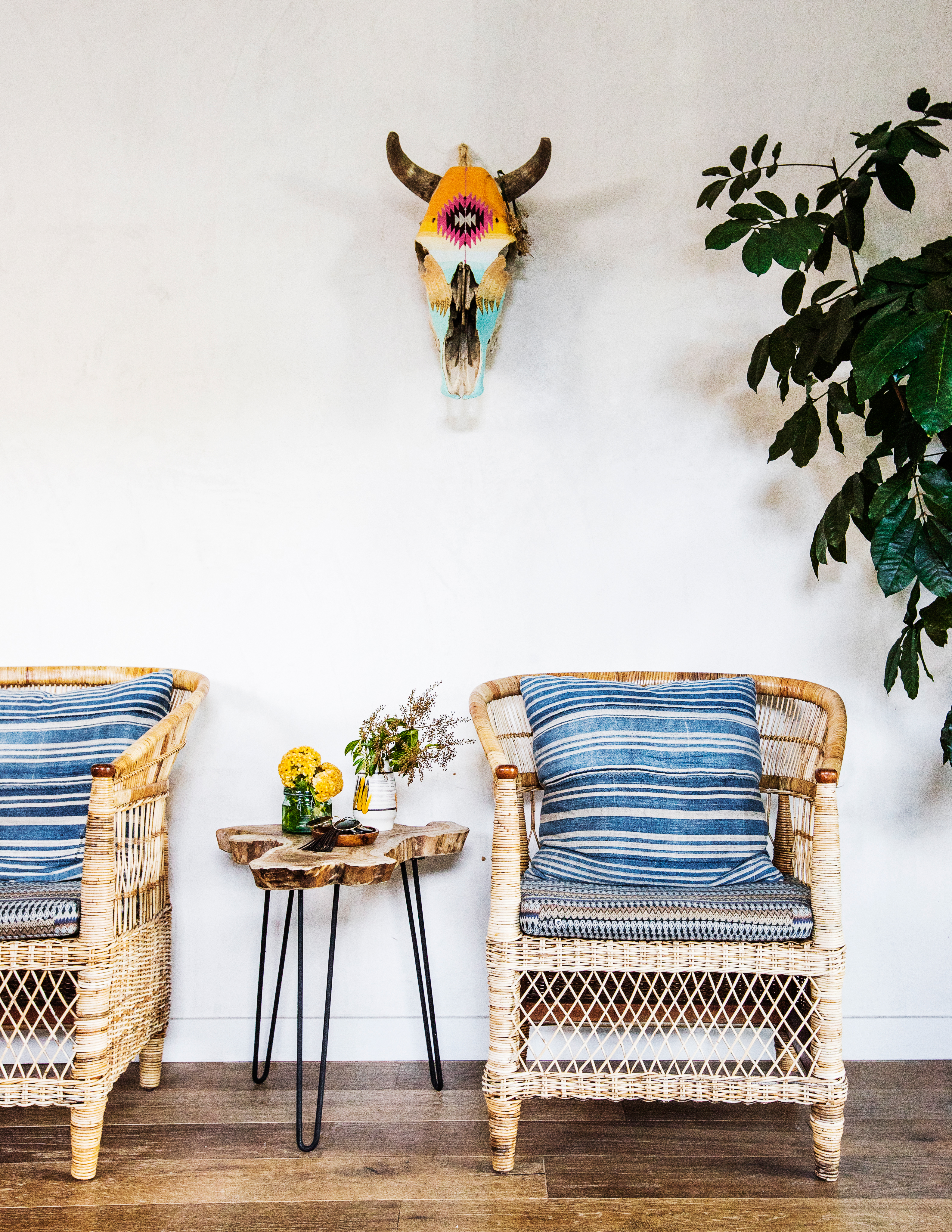 following-their-own-vision