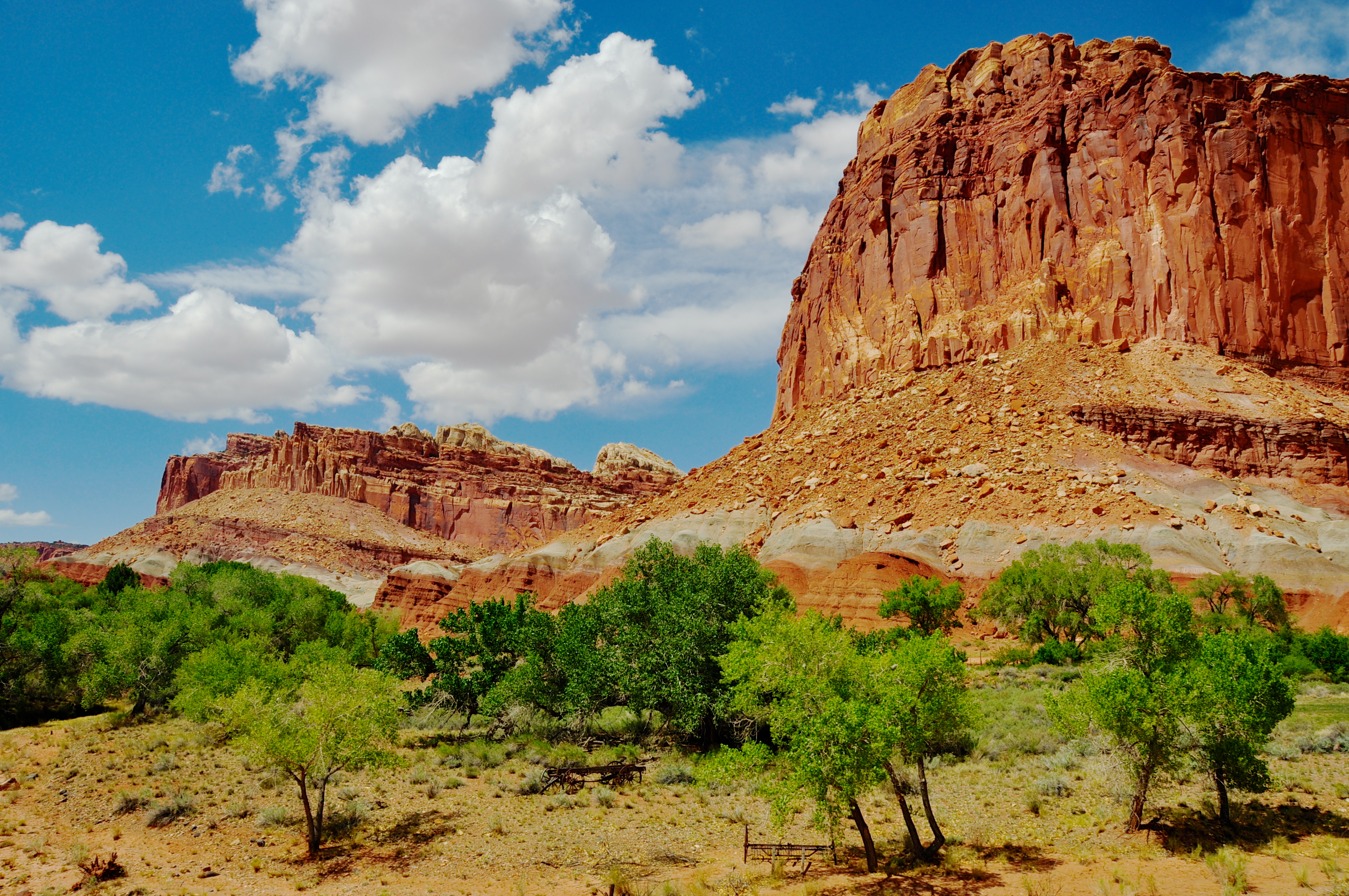 you-want-to-outwit-the-hordes