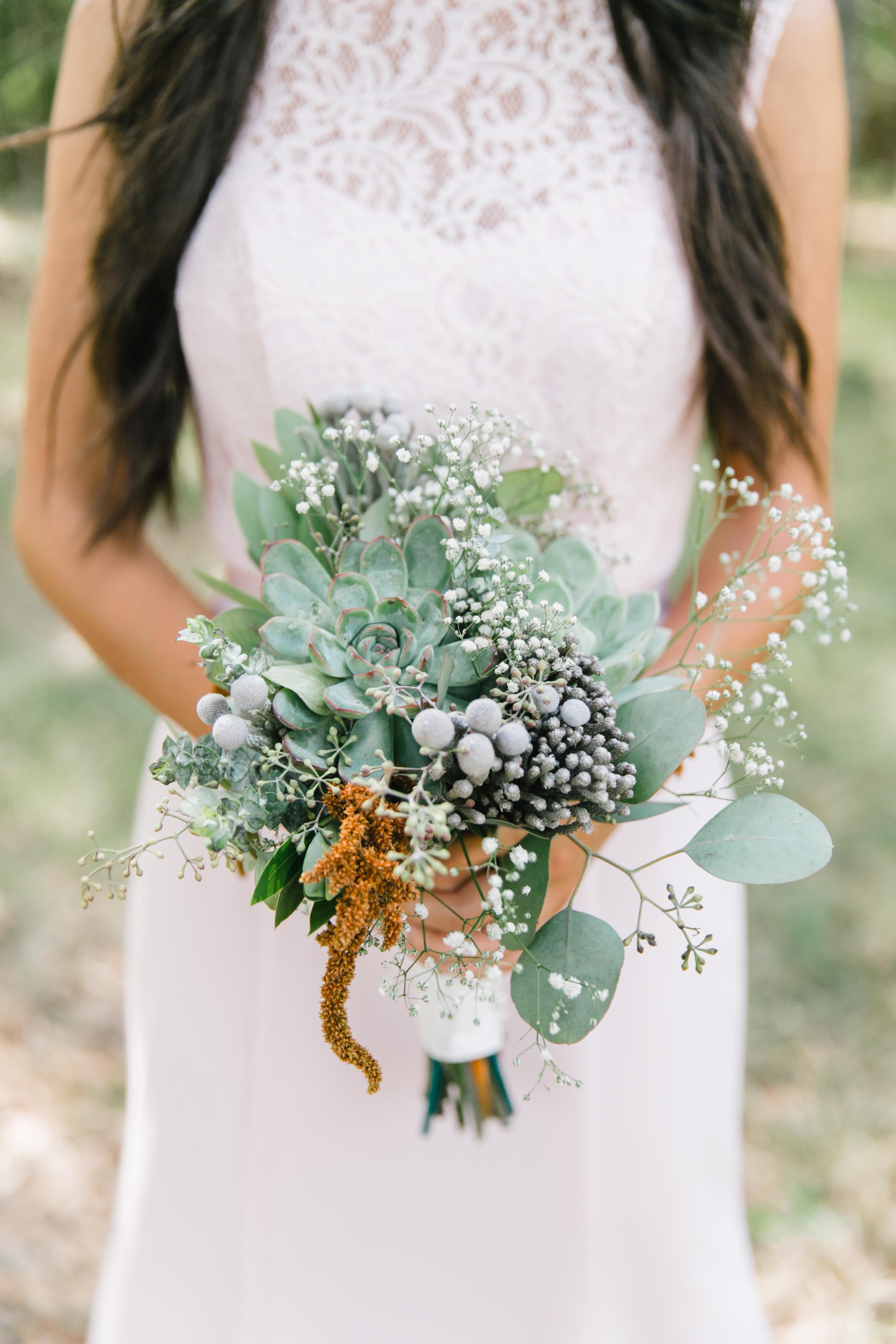 one-plant-many-varieties