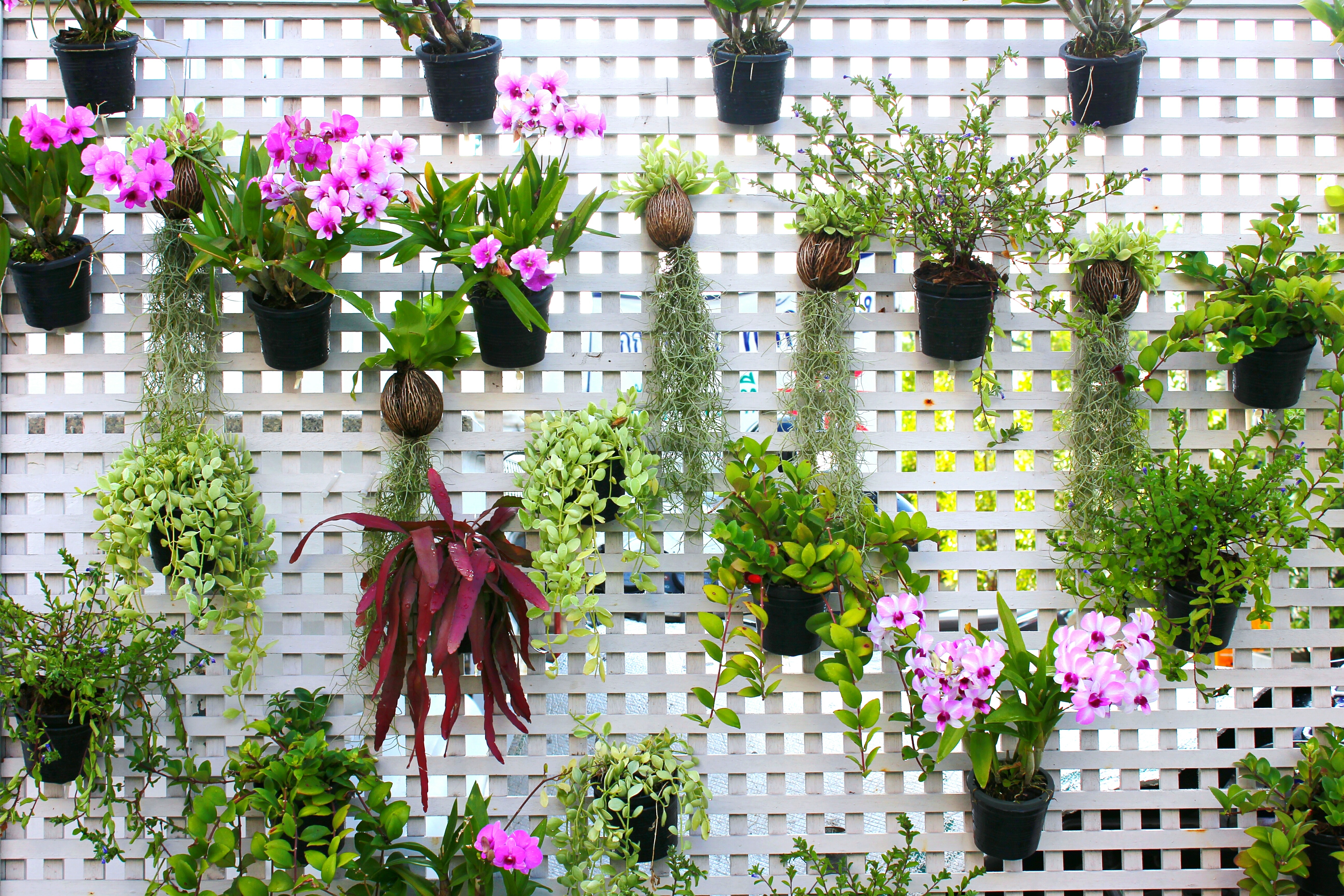living-wall-with-a-twist