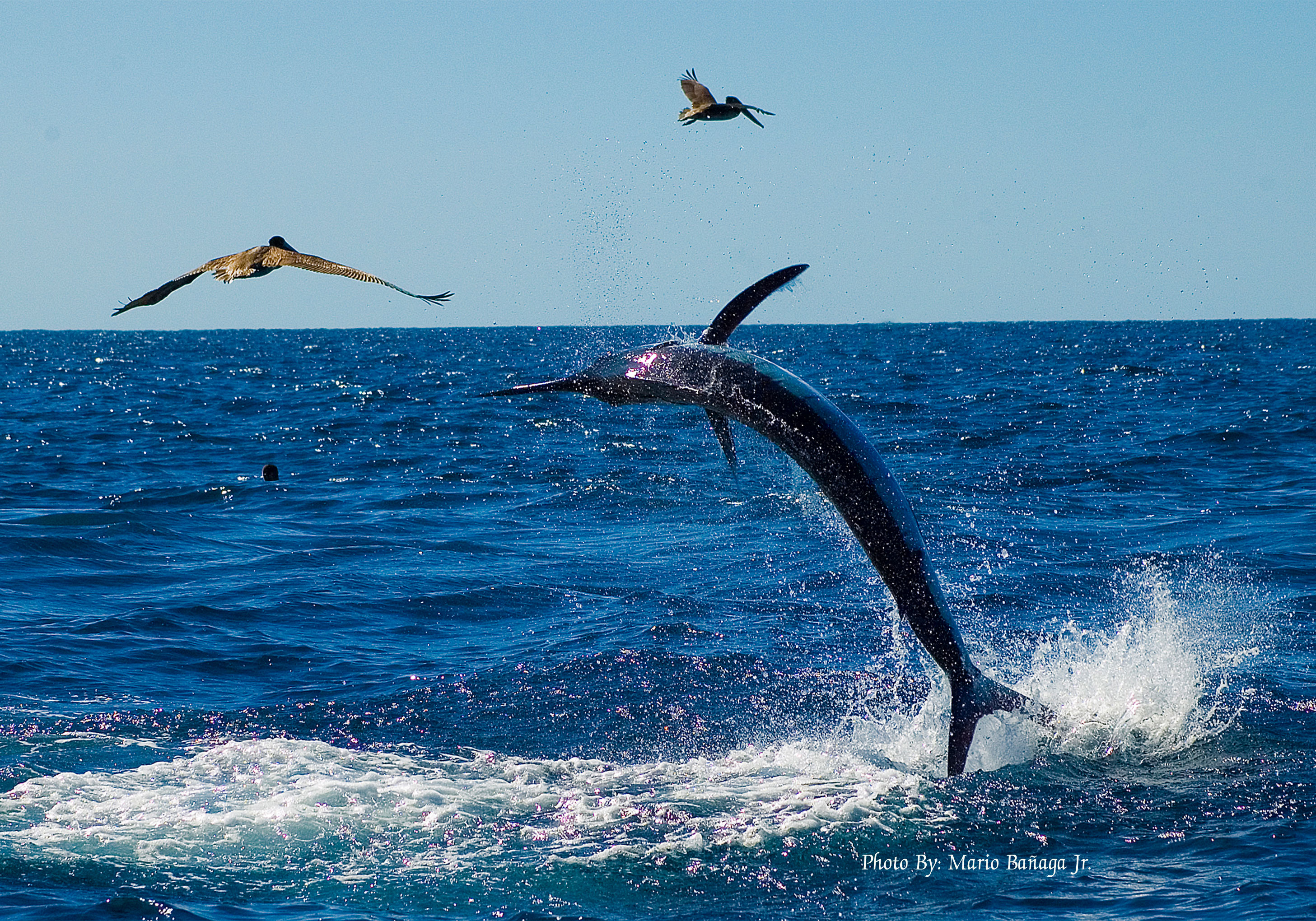 cabo-san-lucas-mexico