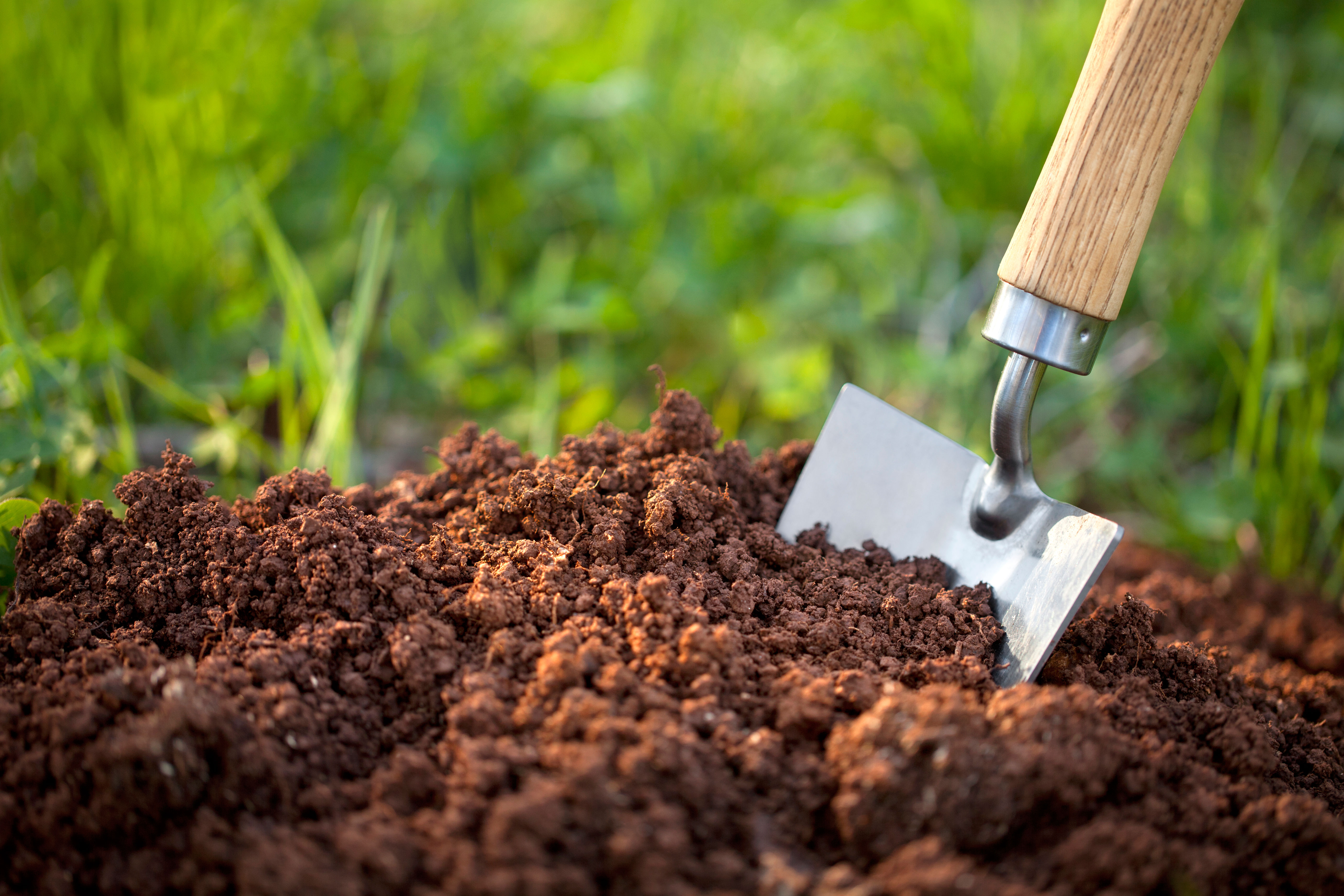 living earth garden soil