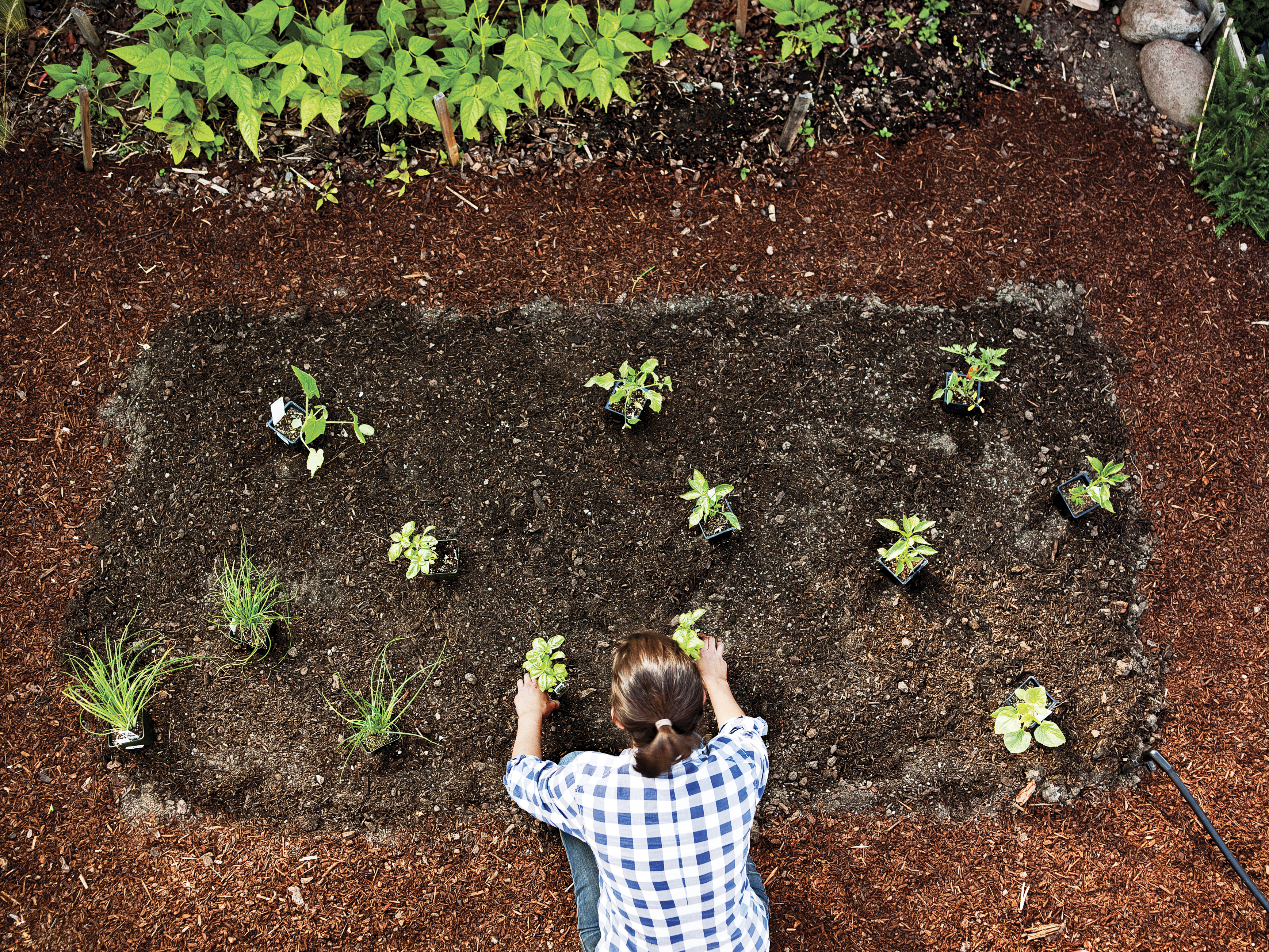 Big Tips for a Mini Veggie Garden