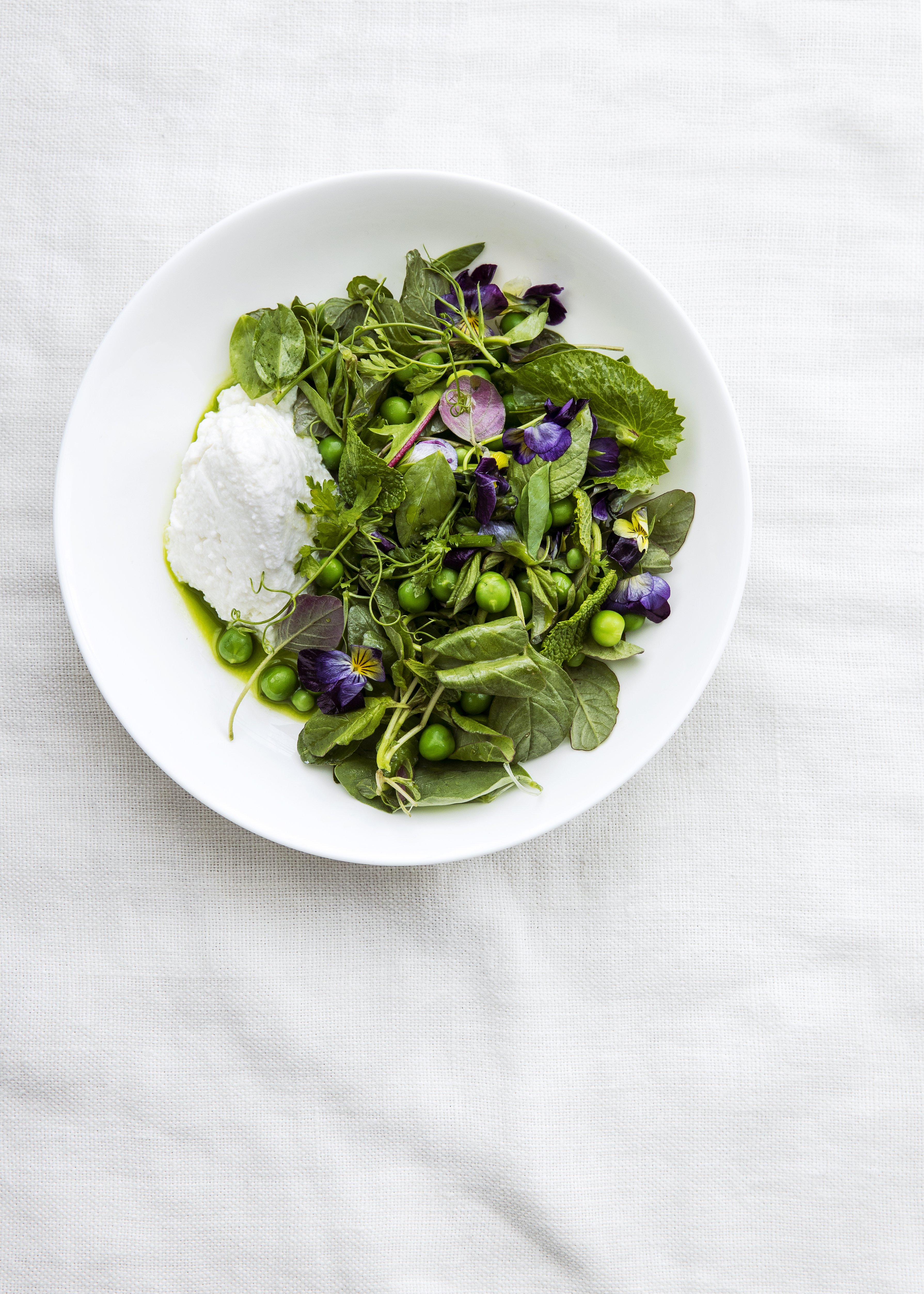 Spring Salads: Spring Greens and Peas with Ricotta and Preserved Lemon Herb Oil (0418)