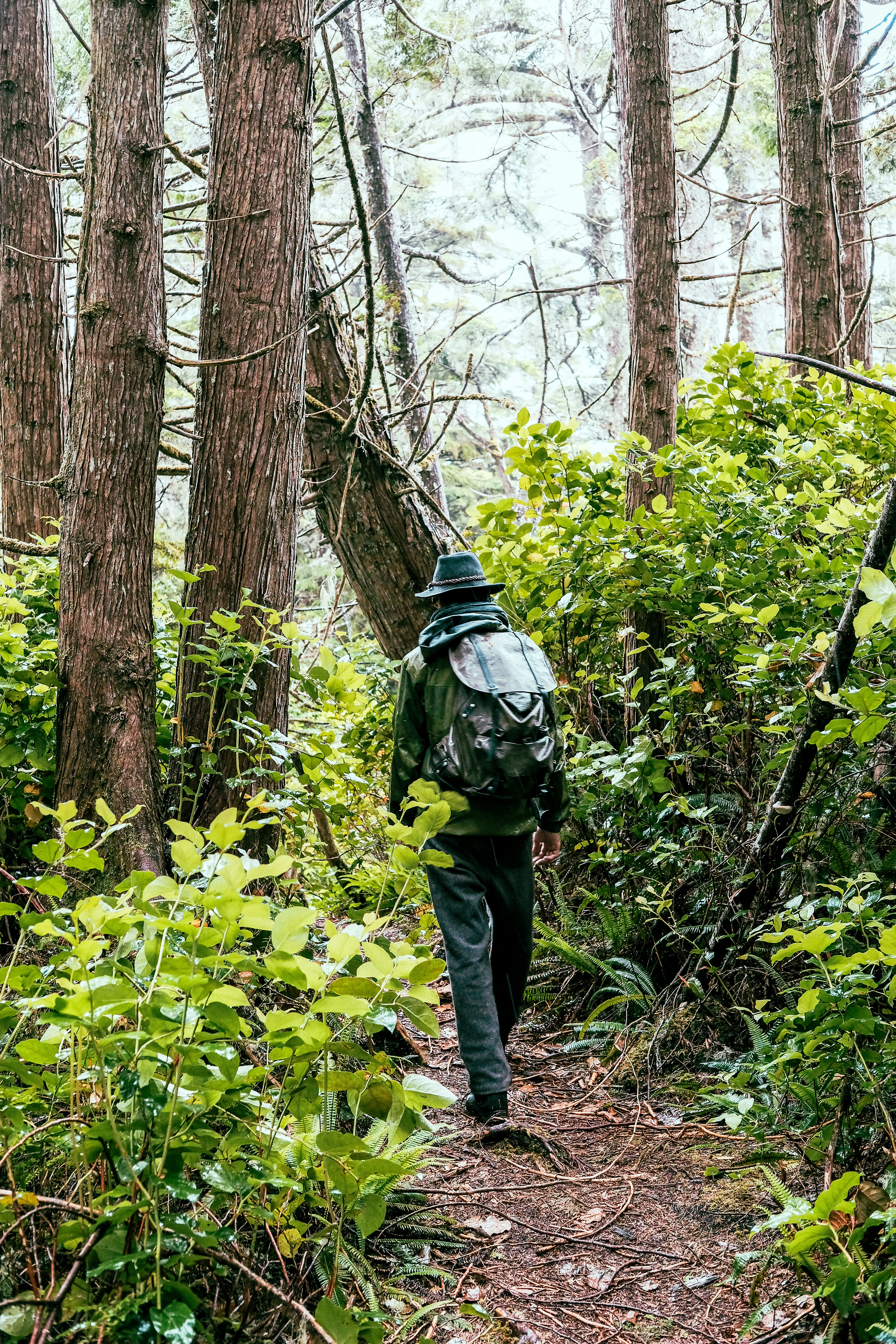 An Epic Adventure on B.C.'s Vancouver Island
