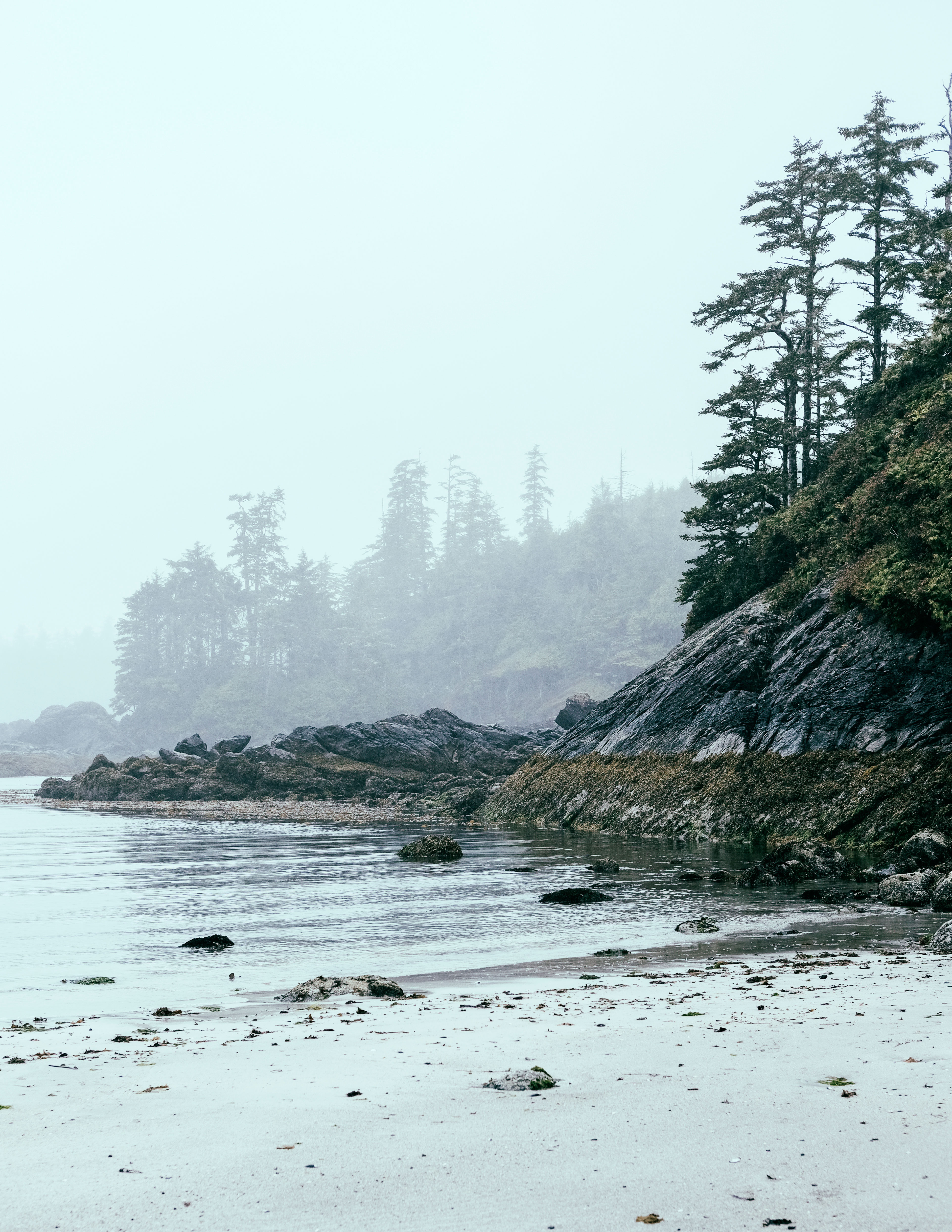 Vancouver Island Road Trip