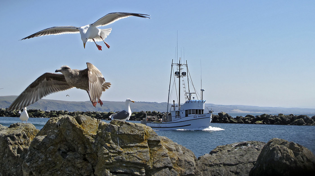 The best coastal towns in California, free concerts in Portland, and more great weekend travel finds