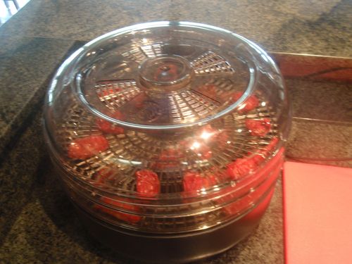 Dehydrated tomatoes, part 2