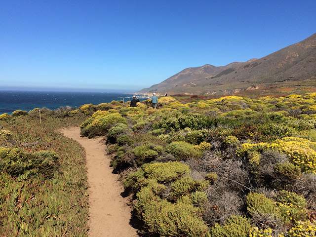 Doggy road trip: a Northern California coastal experience