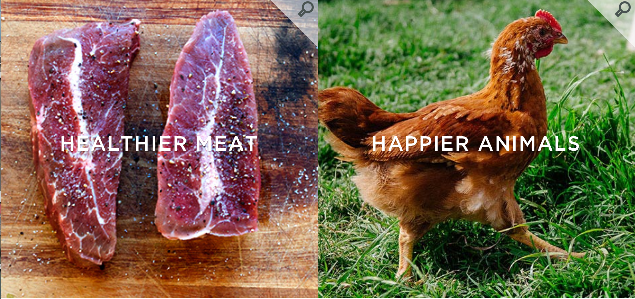 AgLocal: Really Good Meat