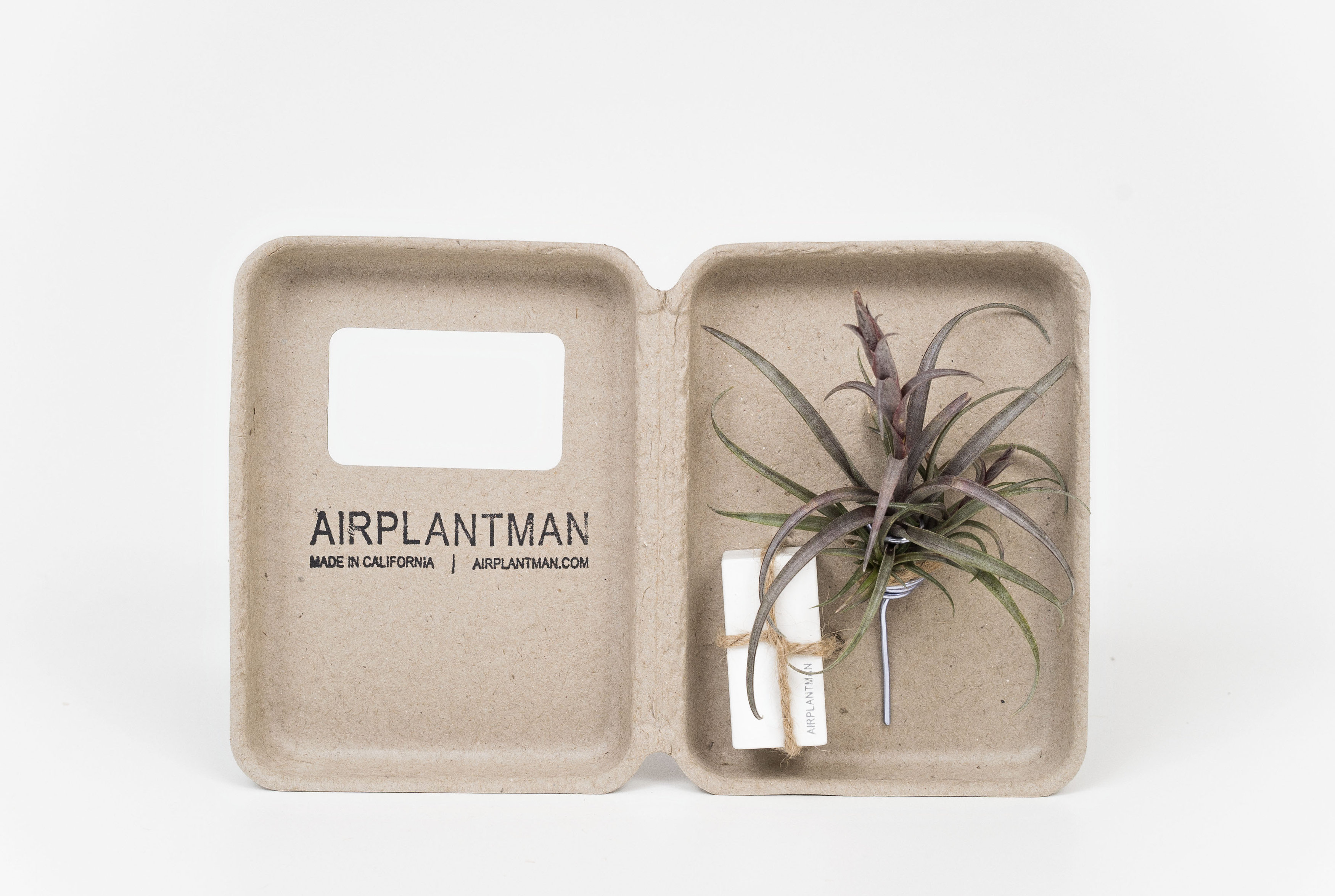 5 Stocking Stuffers for Plant Lovers