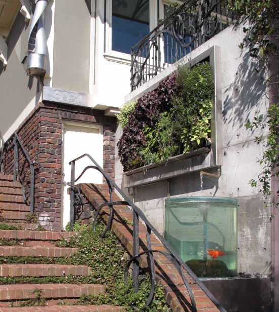 Avant garde-ning in San Francisco